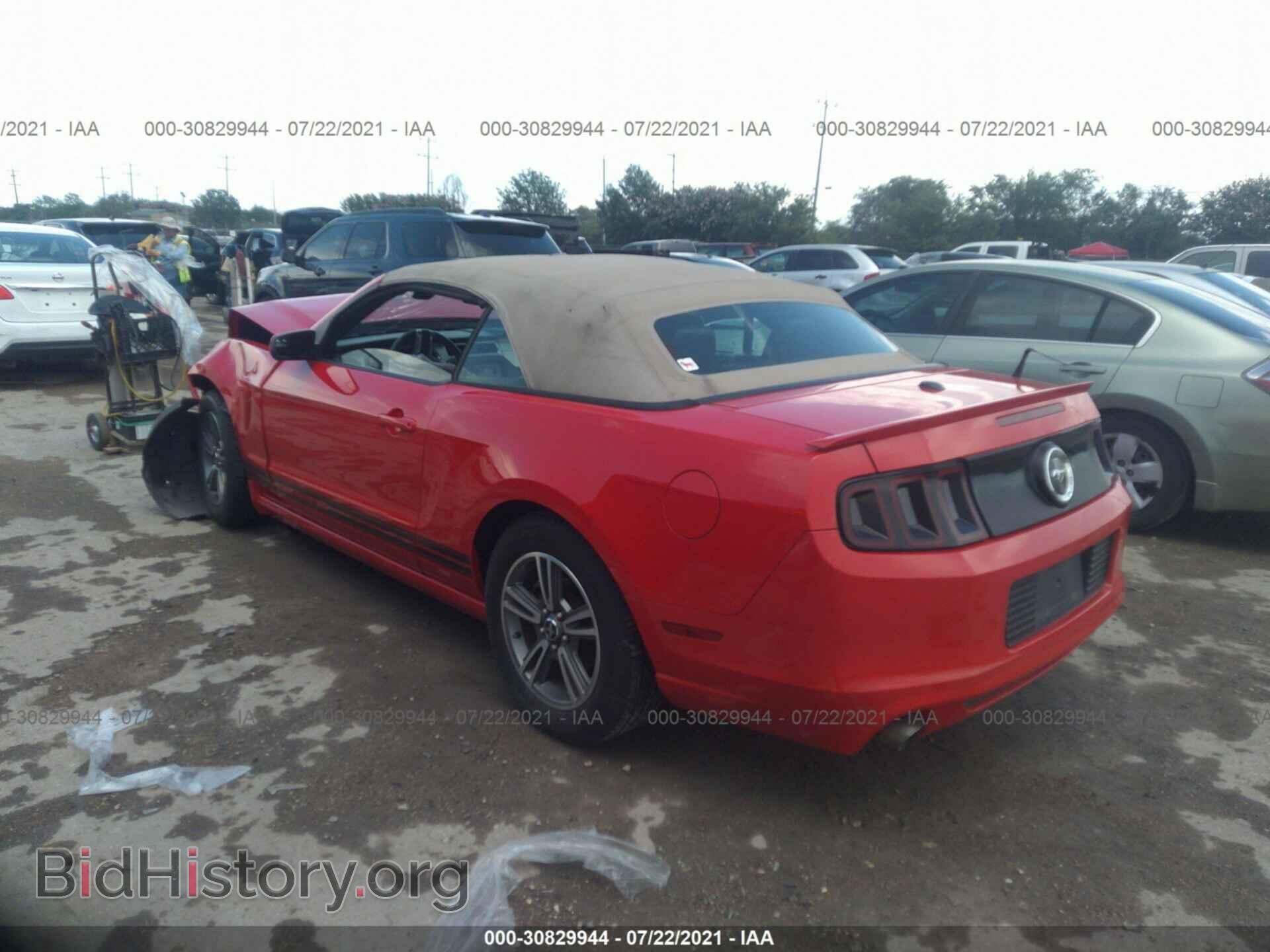 2013 FORD MUSTANG - VIN: 1ZVBP8EM2D5239814 - Фото 3