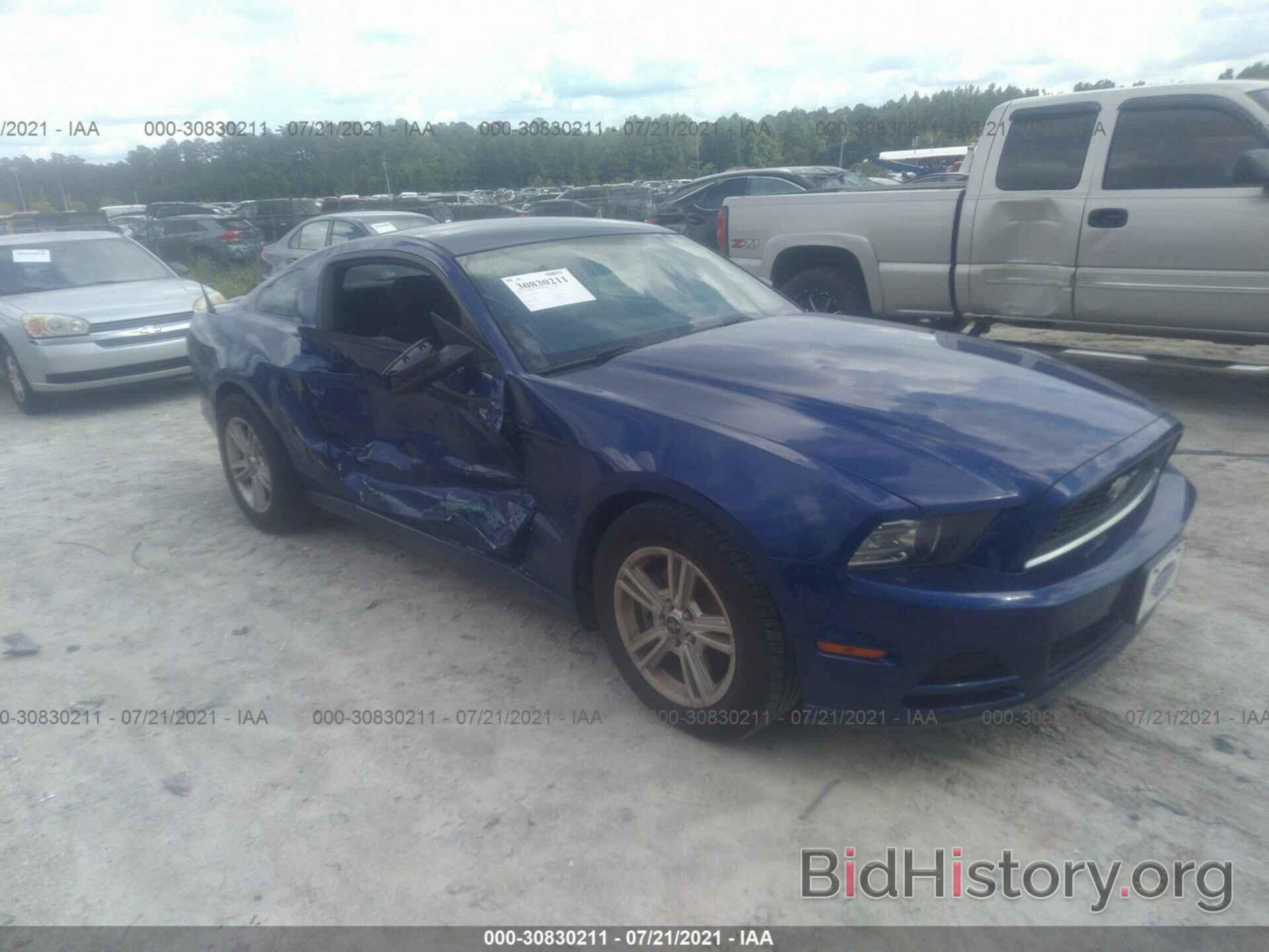 Photo 1ZVBP8AM0E5317868 - FORD MUSTANG 2014