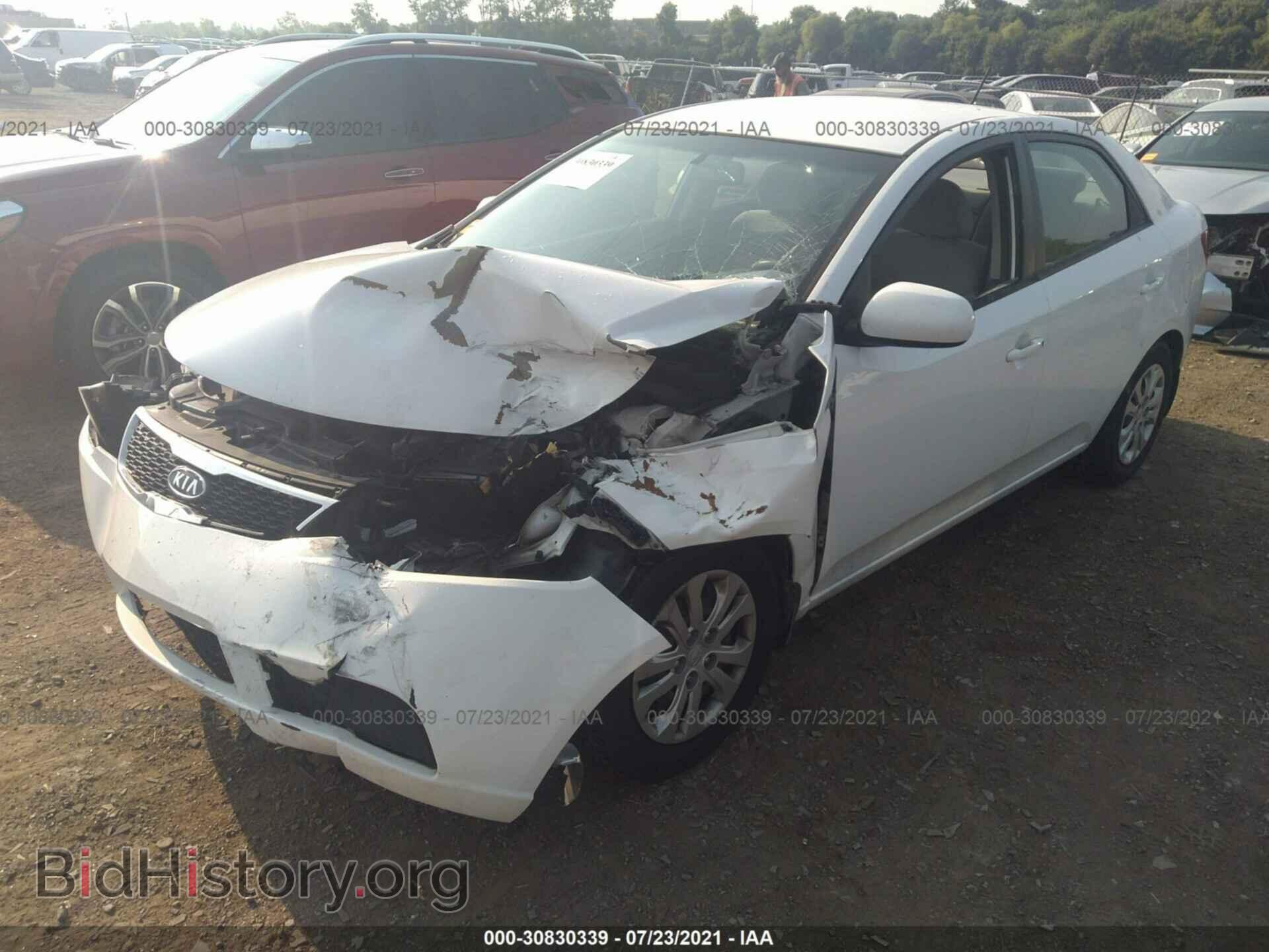 2012 KIA FORTE - VIN: KNAFT4A22C5517037 - Фото 2