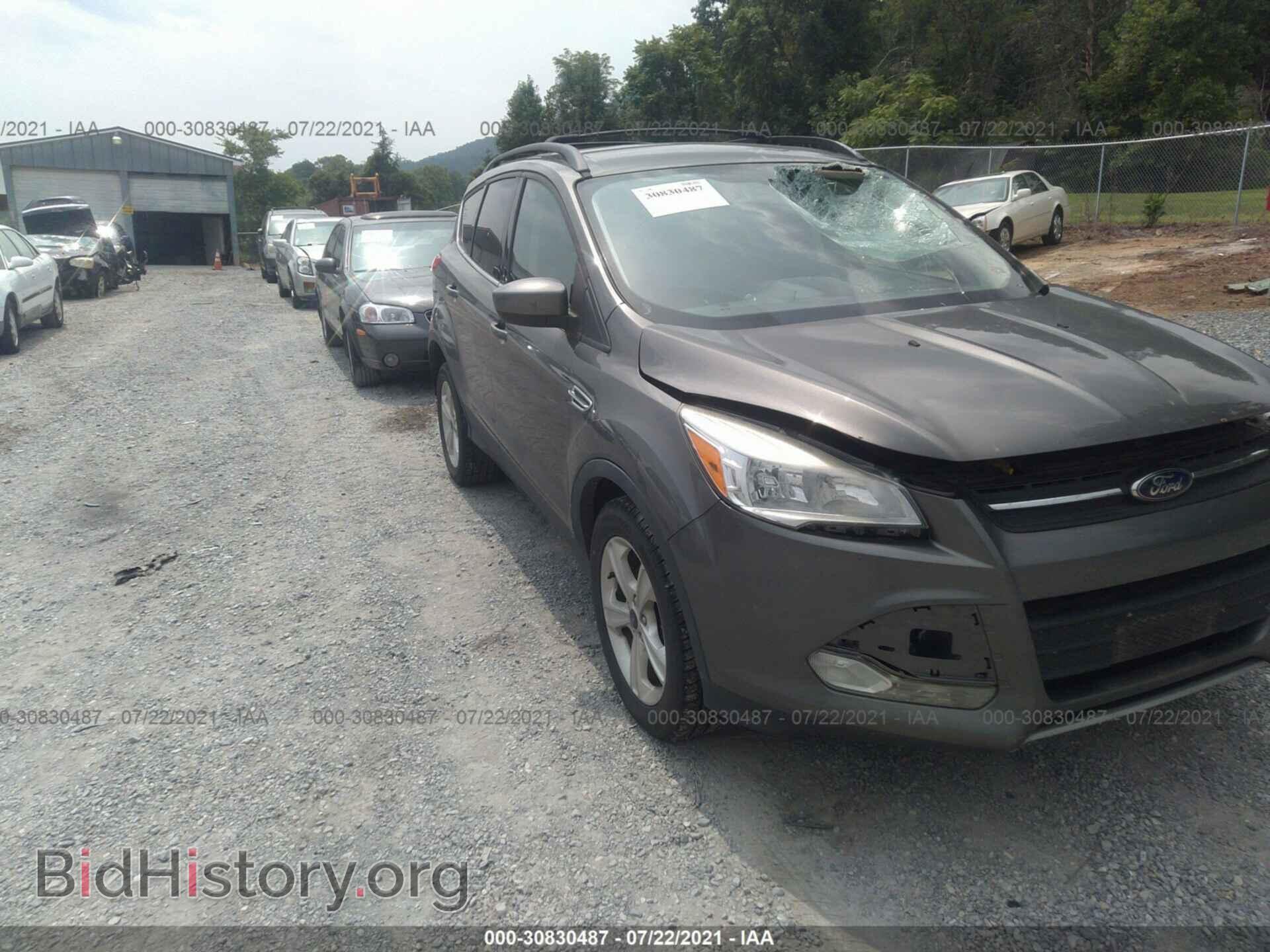 Photo 1FMCU0G94DUA06657 - FORD ESCAPE 2013