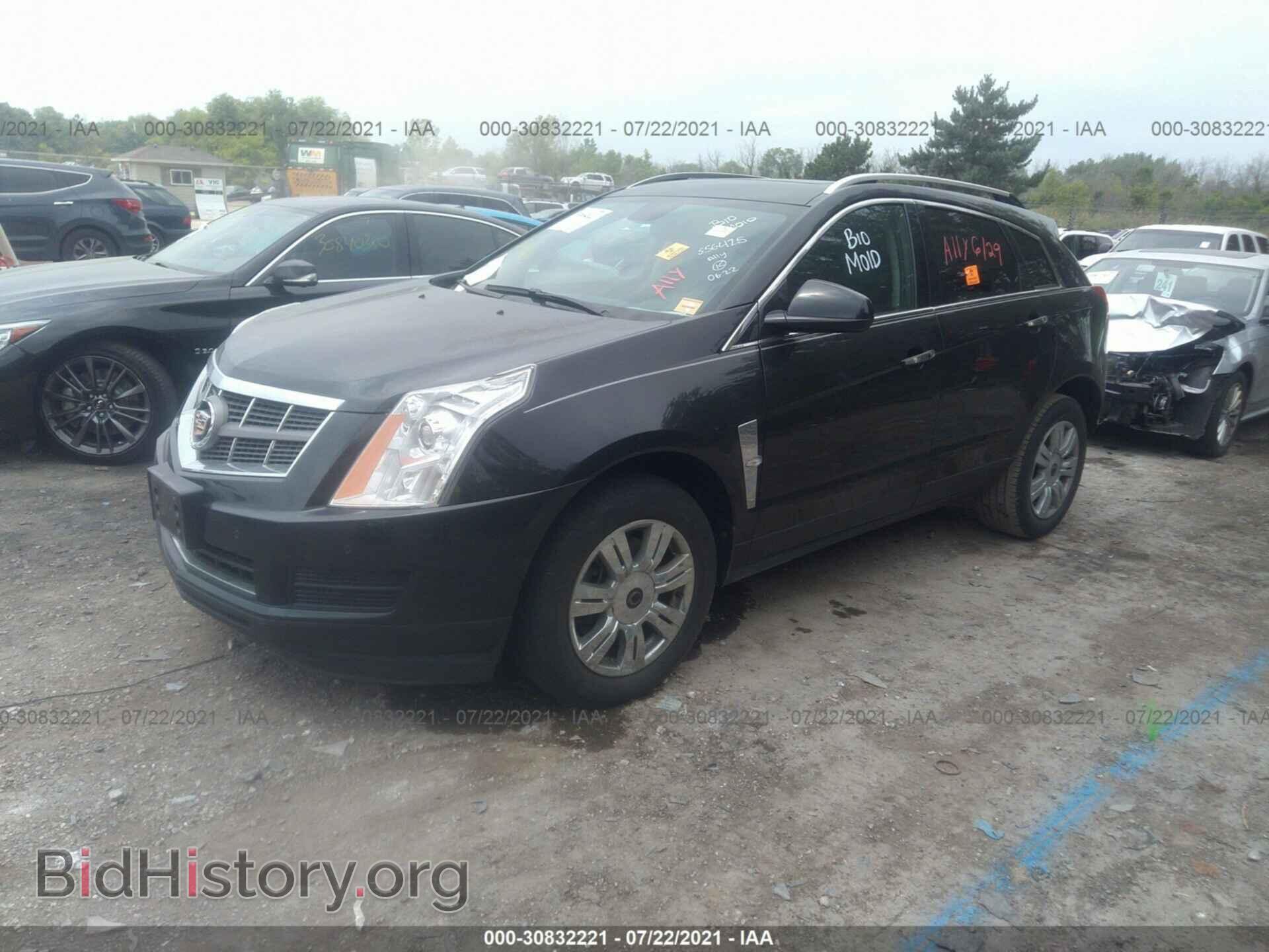 2012 CADILLAC SRX - VIN: 3GYFNAE37CS556415 - Фото 2