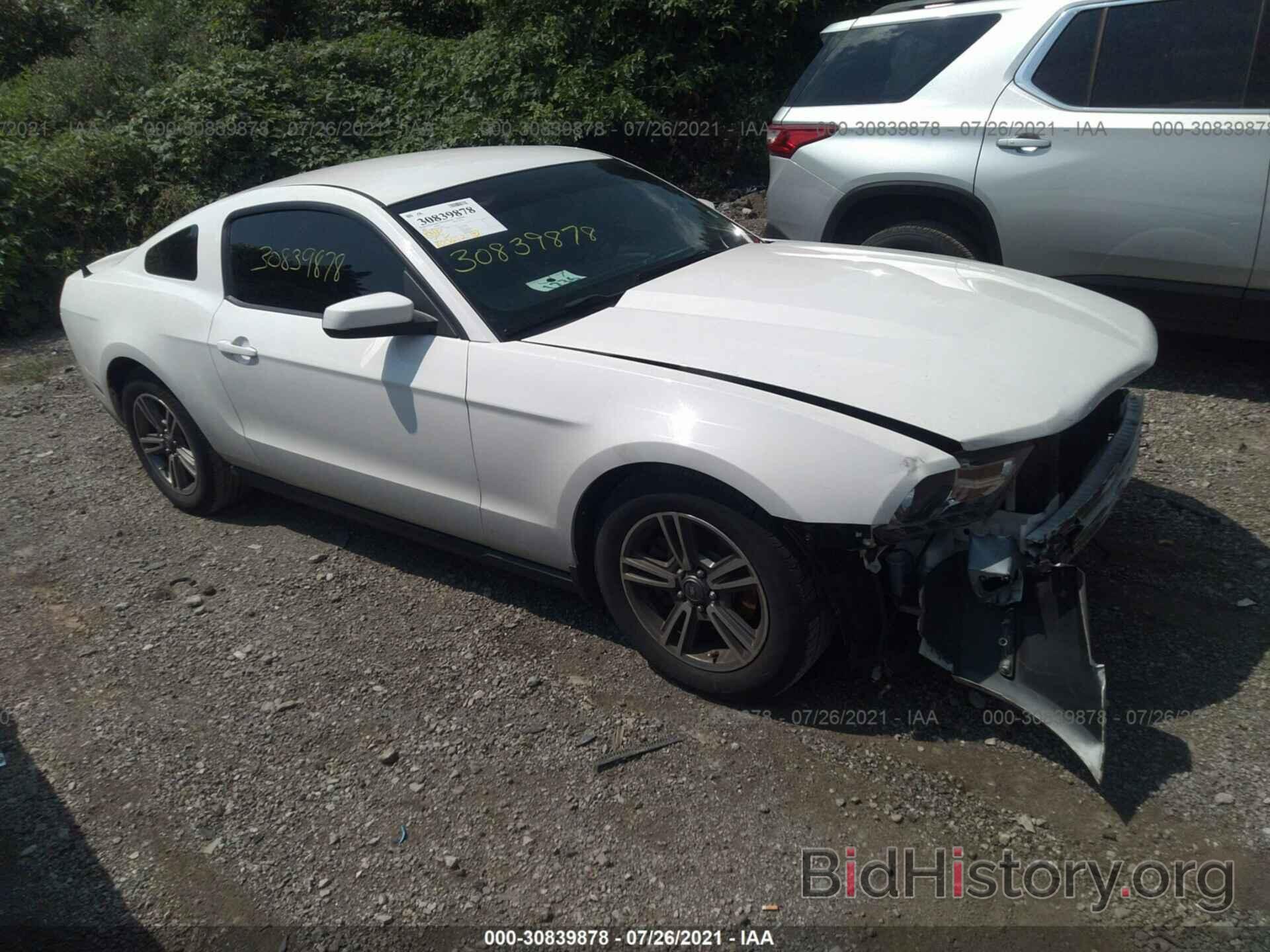 Photo 1ZVBP8AM5B5148667 - FORD MUSTANG 2011