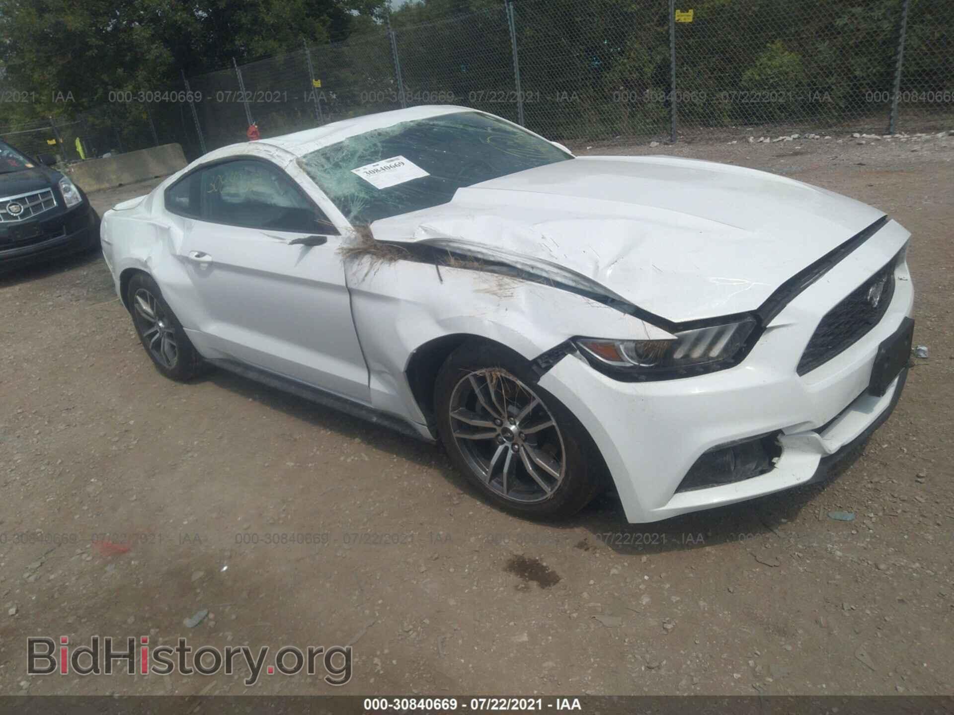 Photo 1FA6P8TH8H5343472 - FORD MUSTANG 2017