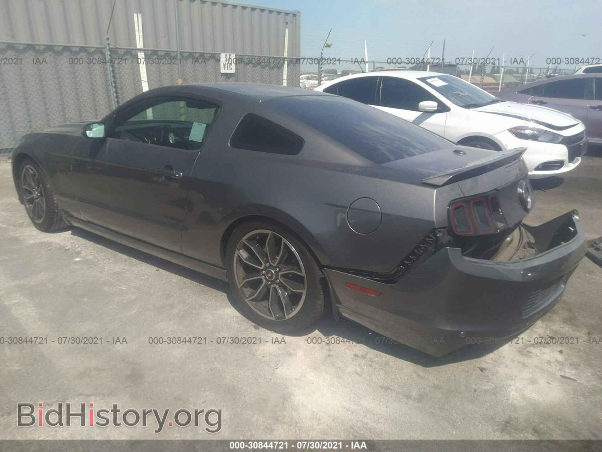 2013 FORD MUSTANG - VIN: 1ZVBP8CF3D5275614 - Фото 3