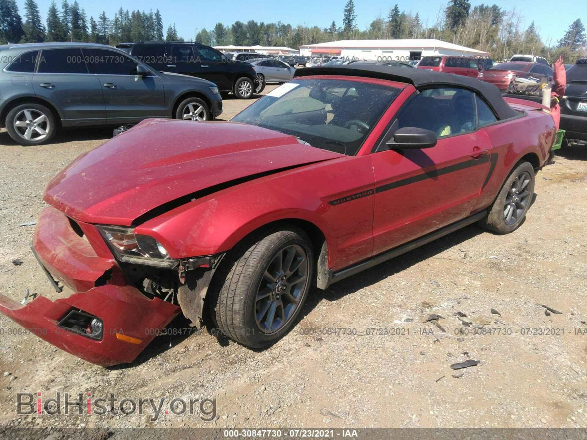 2011 FORD MUSTANG - VIN: 1ZVBP8EM9B5146950 - Фото 2