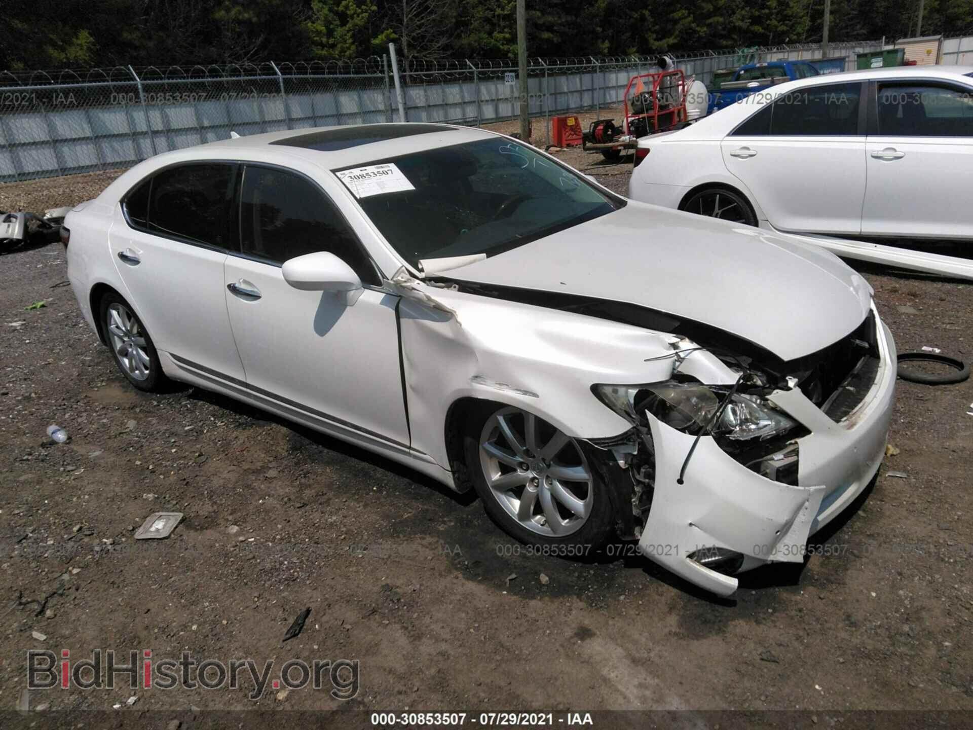 Фотография JTHGL46F185024586 - LEXUS LS 460 2008