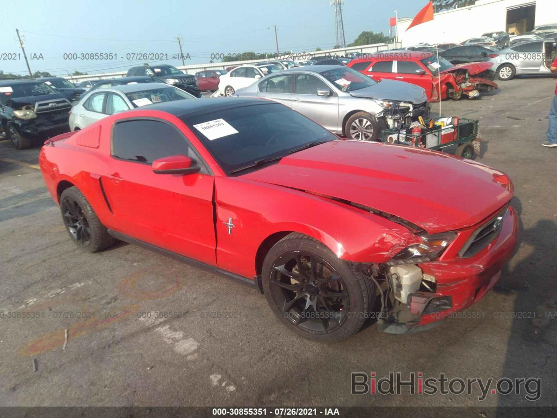 Photo 1ZVBP8AN6A5160849 - FORD MUSTANG 2010