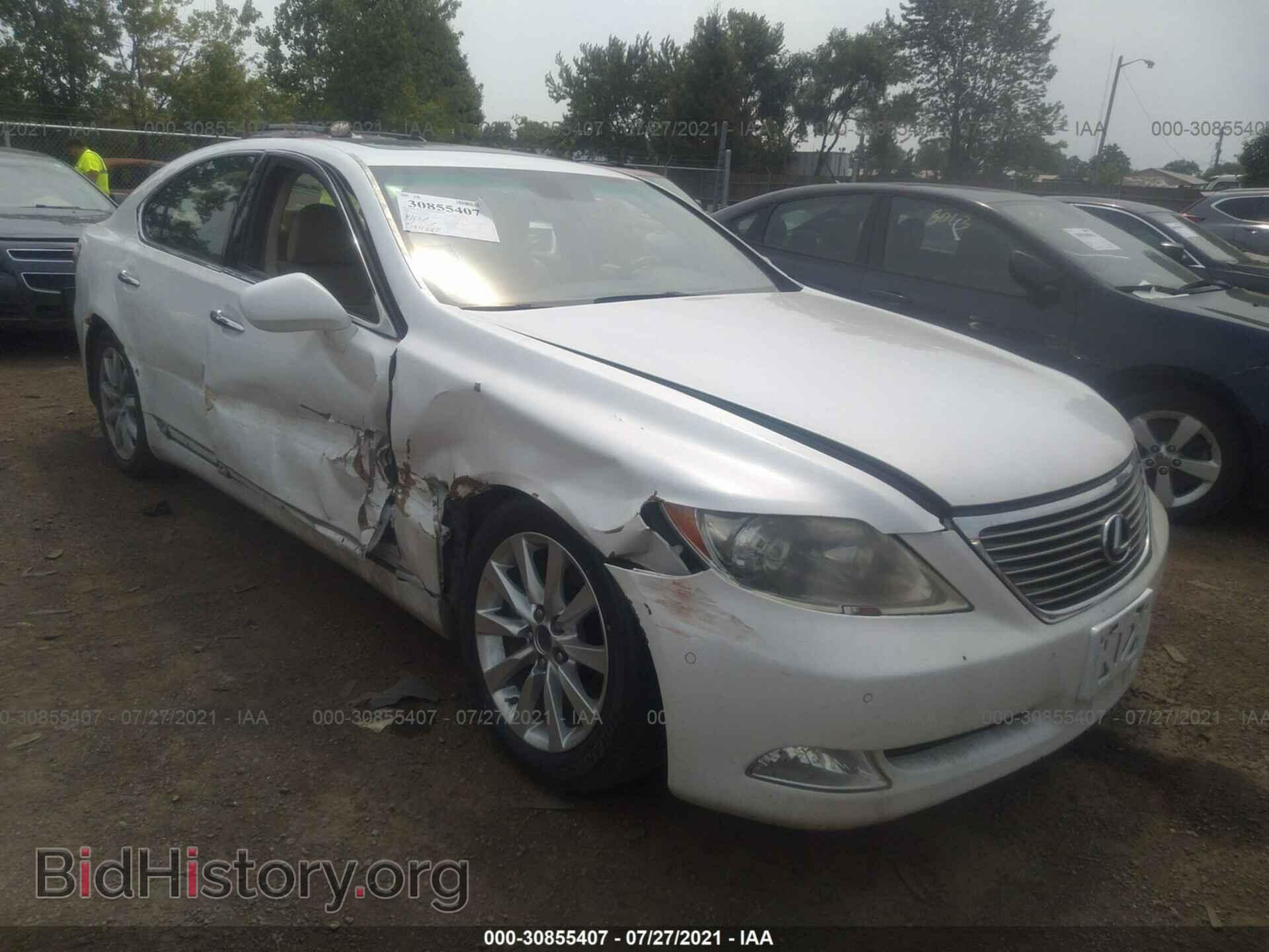 Фотография JTHCL46F295000412 - LEXUS LS 460 2009