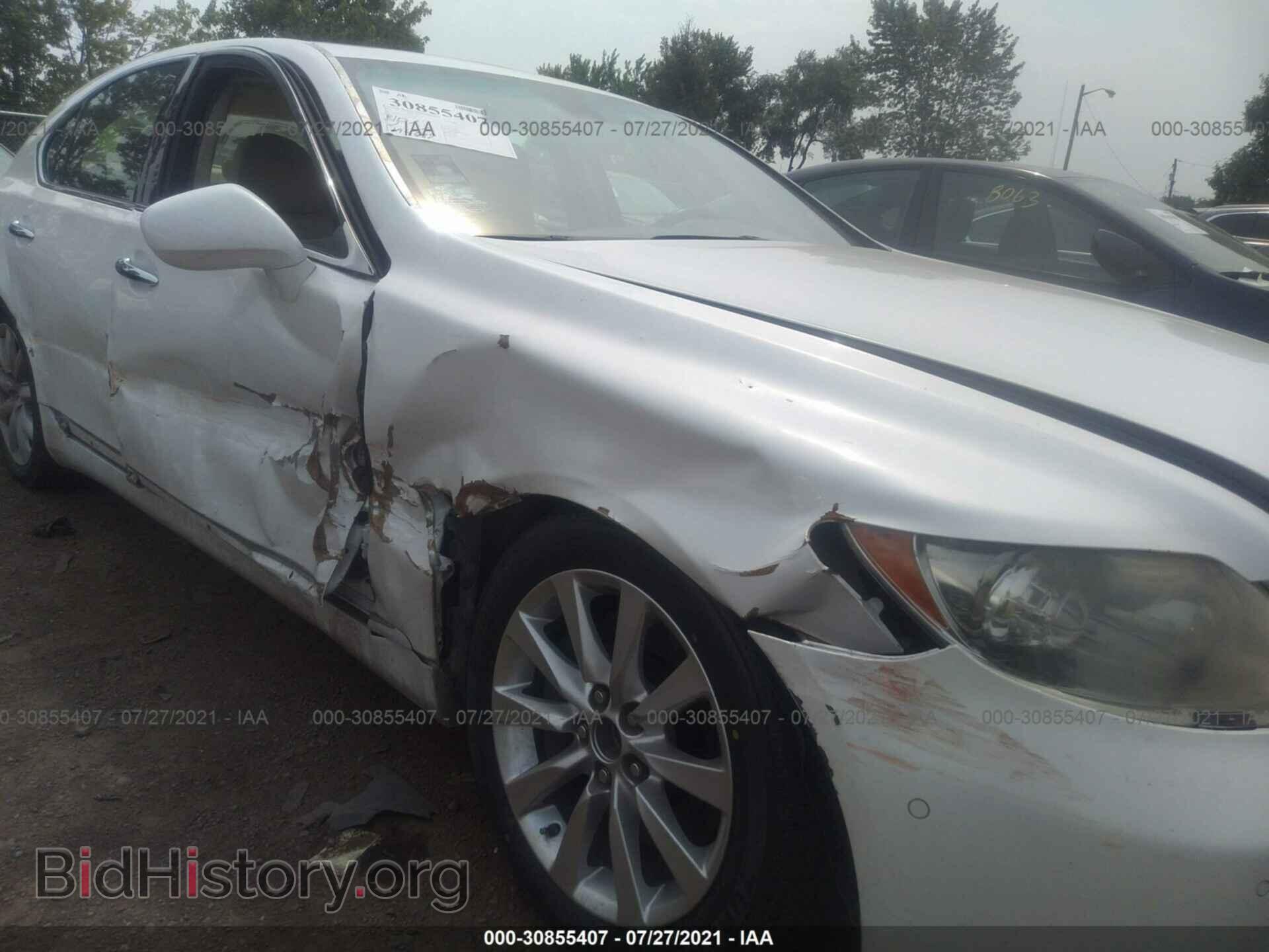 2009 LEXUS LS 460 - VIN: JTHCL46F295000412 - Photo 6