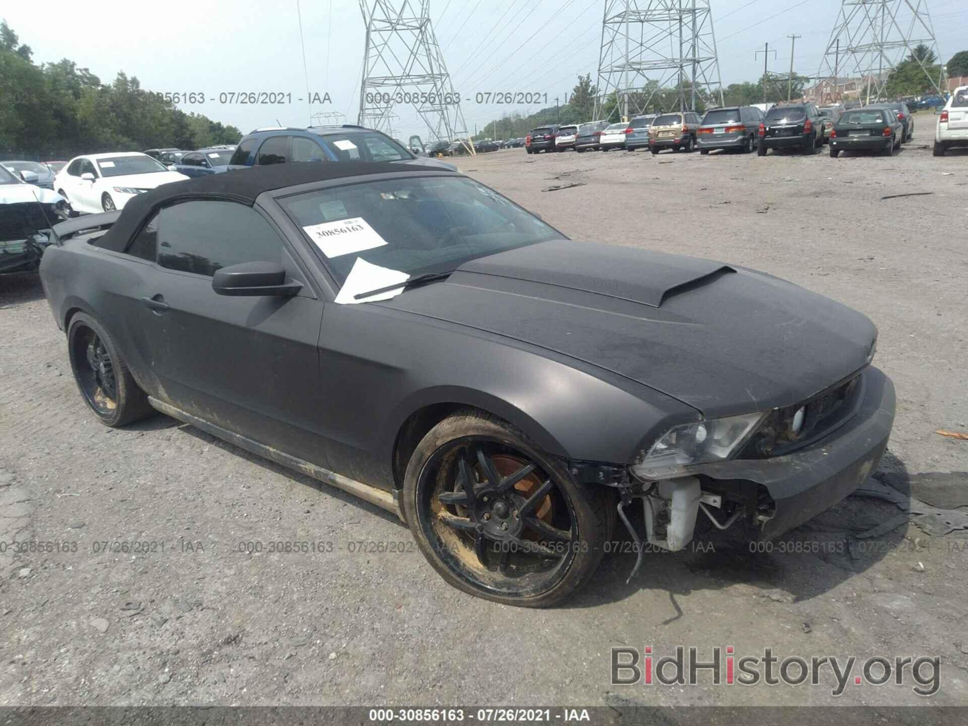 Photo 1ZVBP8FH4A5127335 - FORD MUSTANG 2010