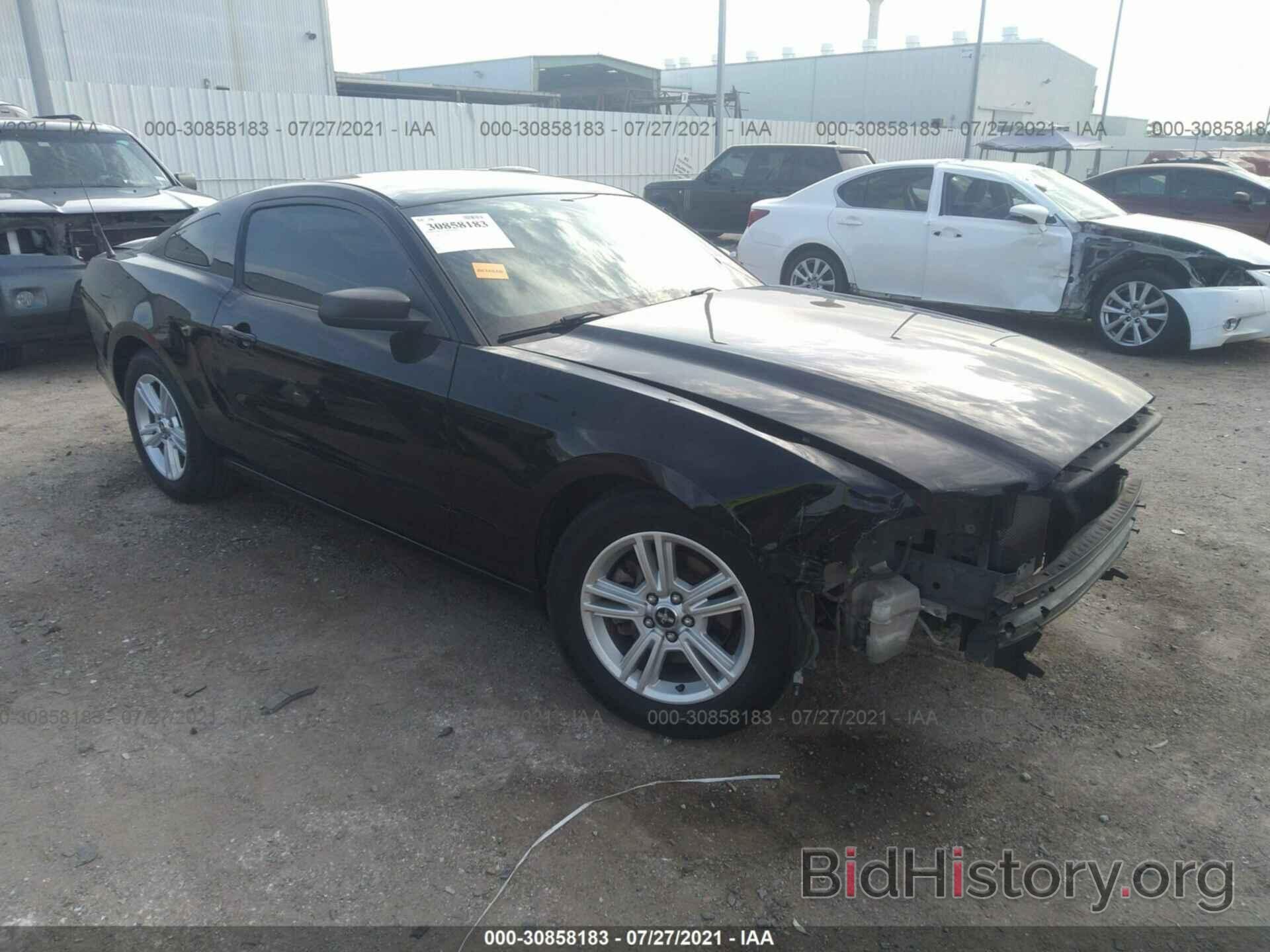 Photo 1ZVBP8AM6E5327109 - FORD MUSTANG 2014