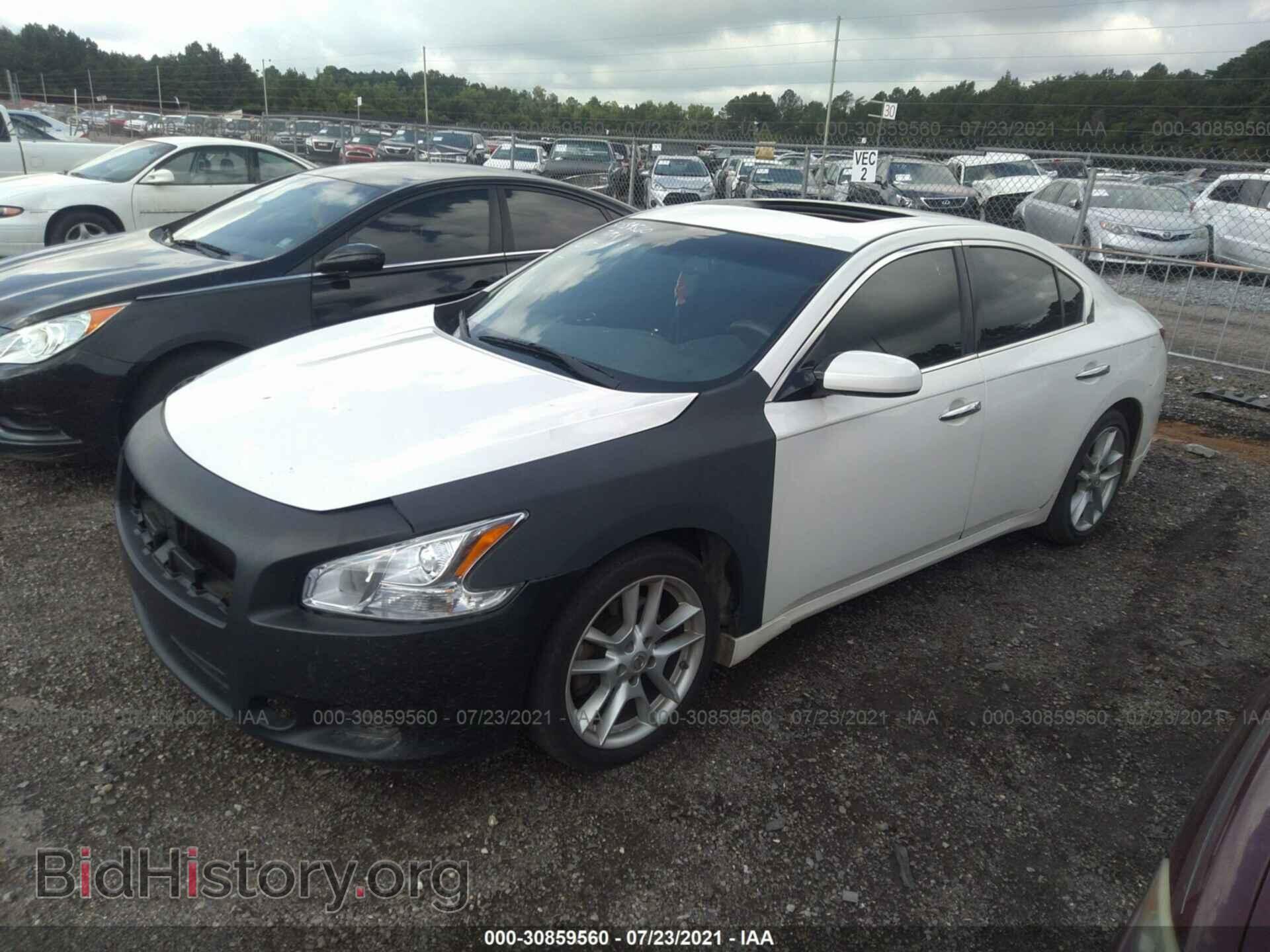 2010 NISSAN MAXIMA - VIN: 1N4AA5AP1AC850834 - Фото 2