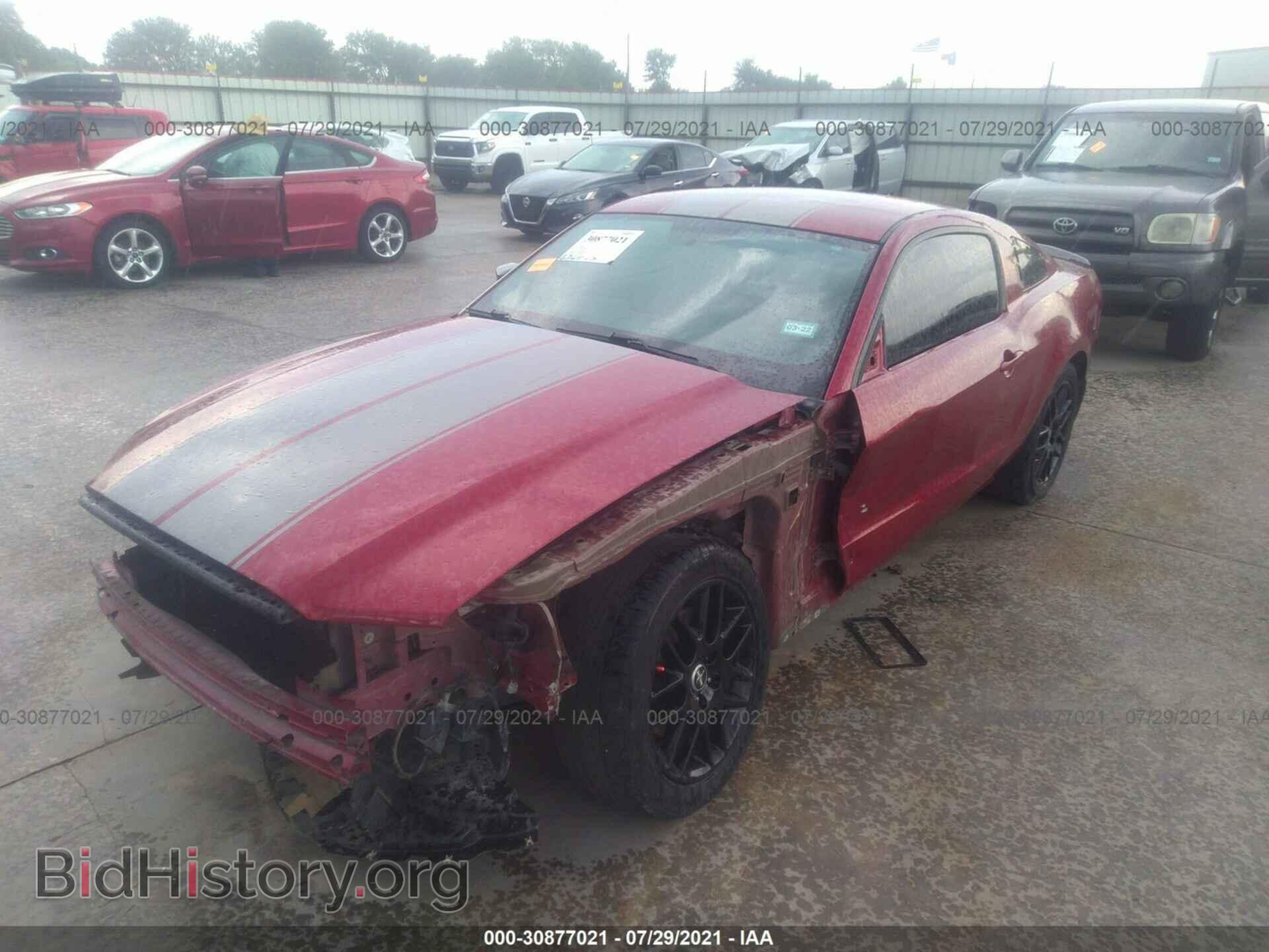 2014 FORD MUSTANG - VIN: 1ZVBP8AM9E5288242 - Фото 2
