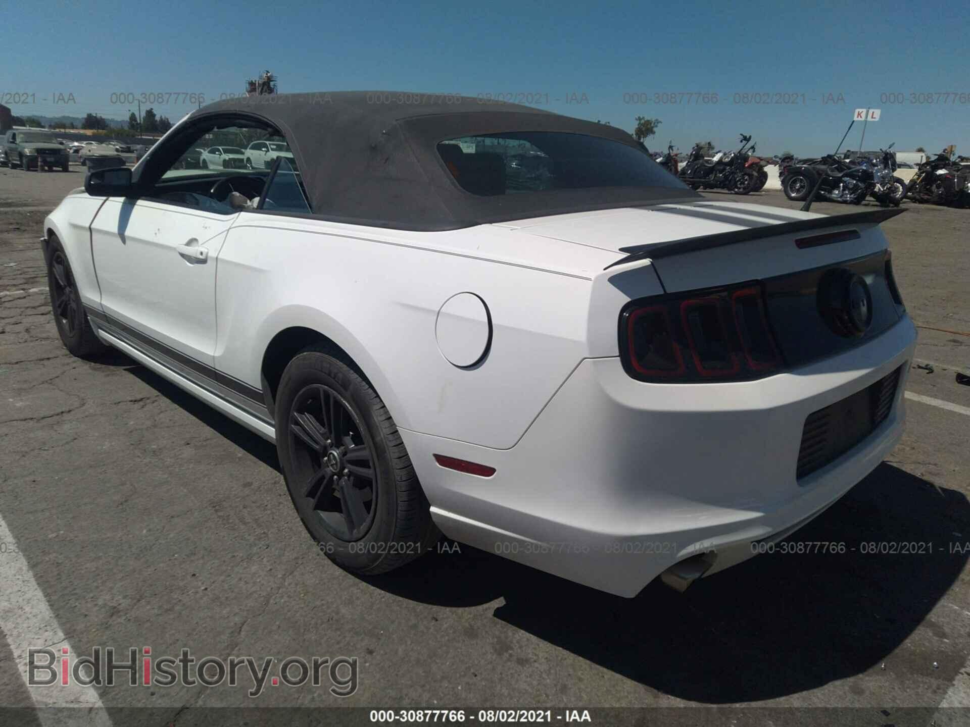 2013 FORD MUSTANG - VIN: 1ZVBP8EM6D5276428 - Фото 3