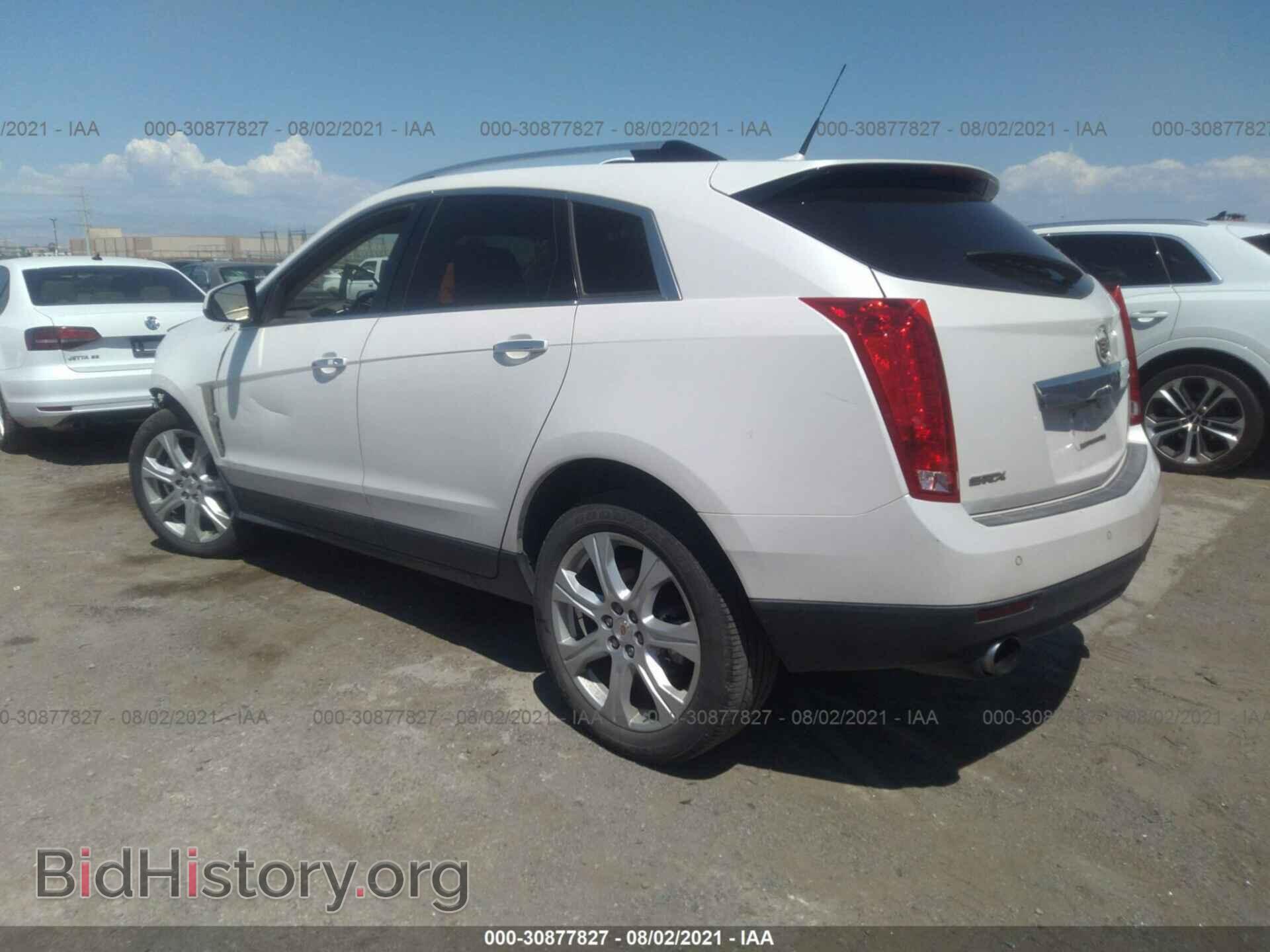 2011 CADILLAC SRX - VIN: 3GYFNCEY1BS505790 - Фото 3