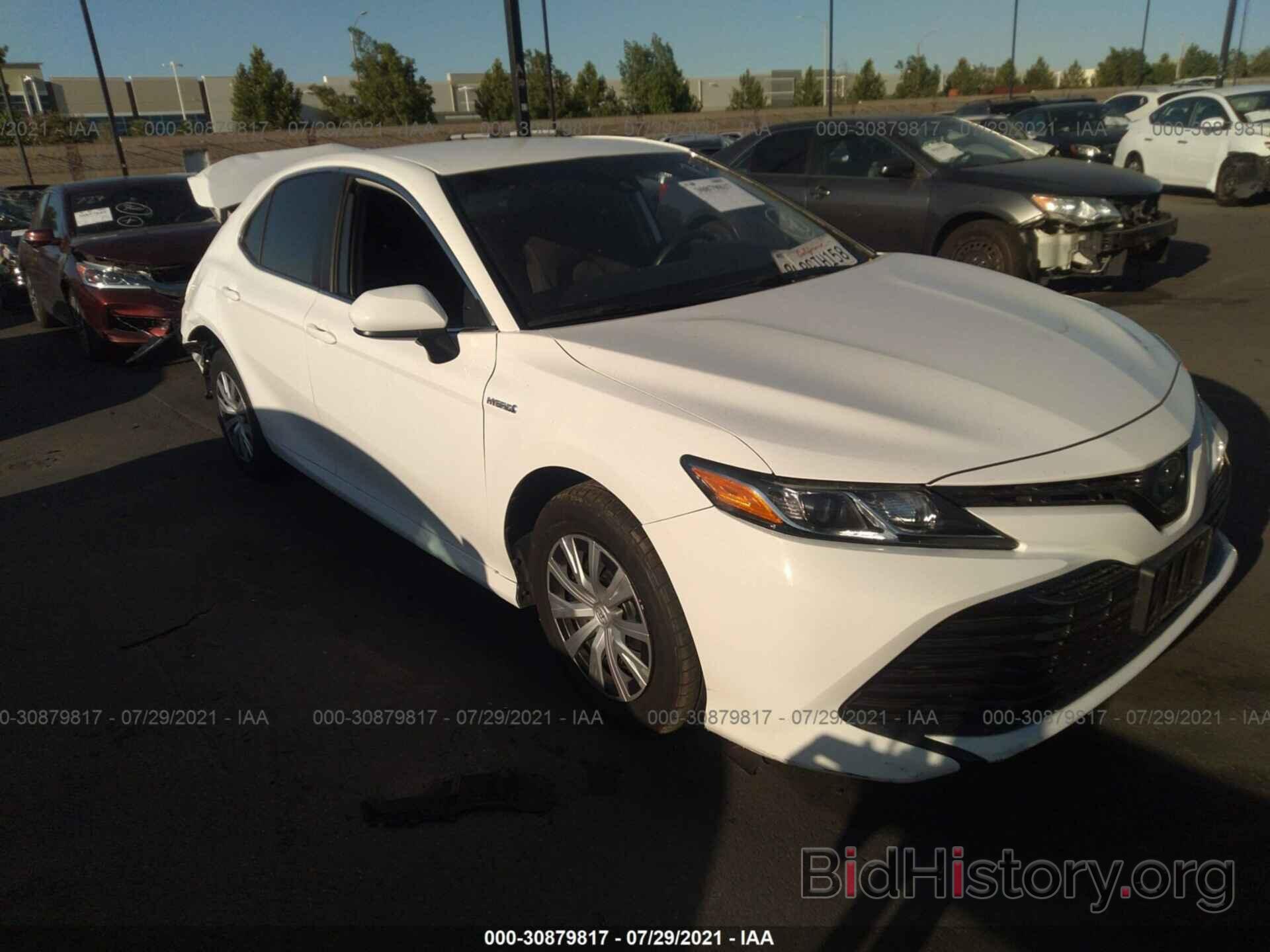 Фотография 4T1B31HK5KU509536 - TOYOTA CAMRY 2019