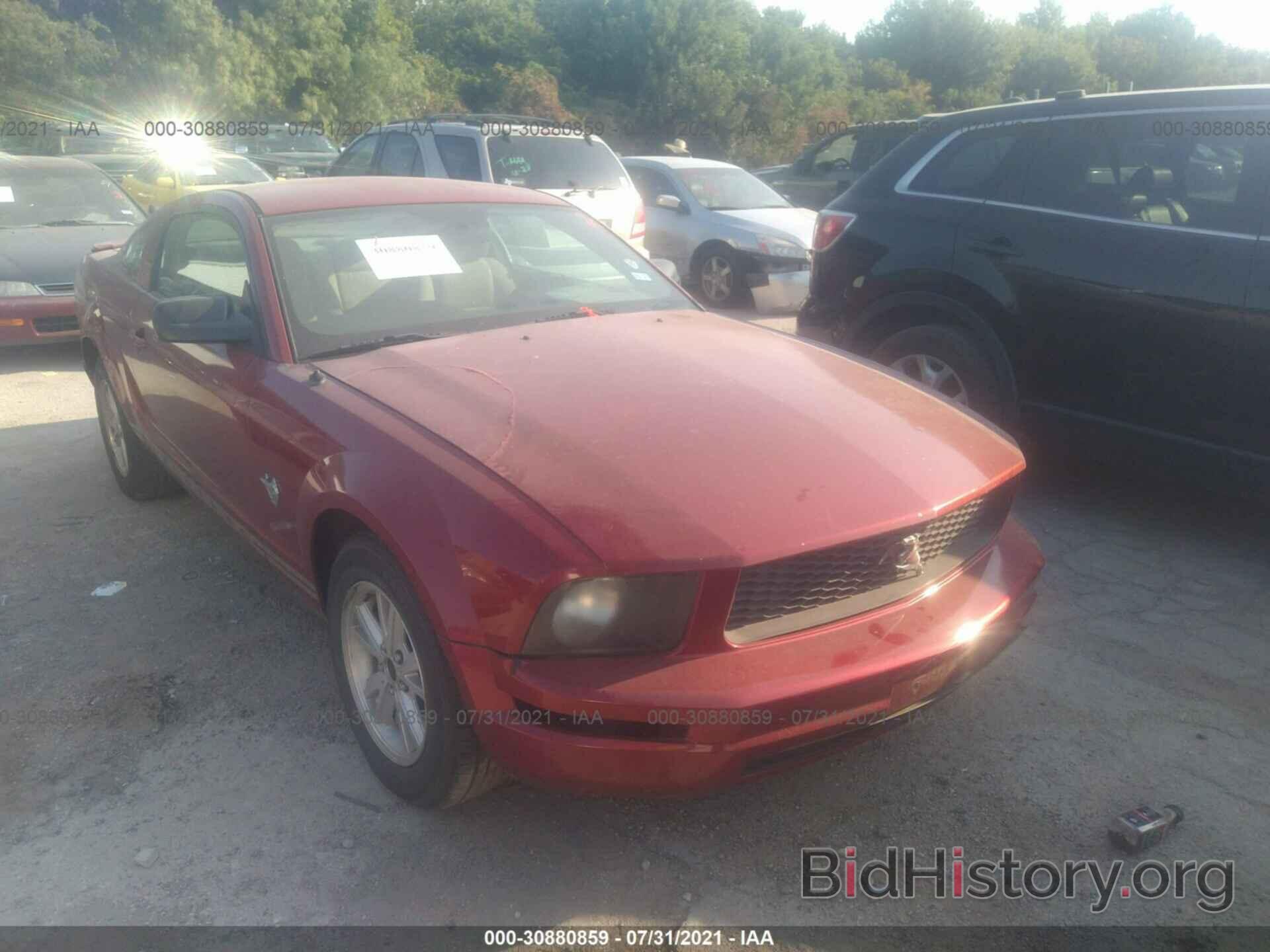 Photo 1ZVHT80N695100315 - FORD MUSTANG 2009