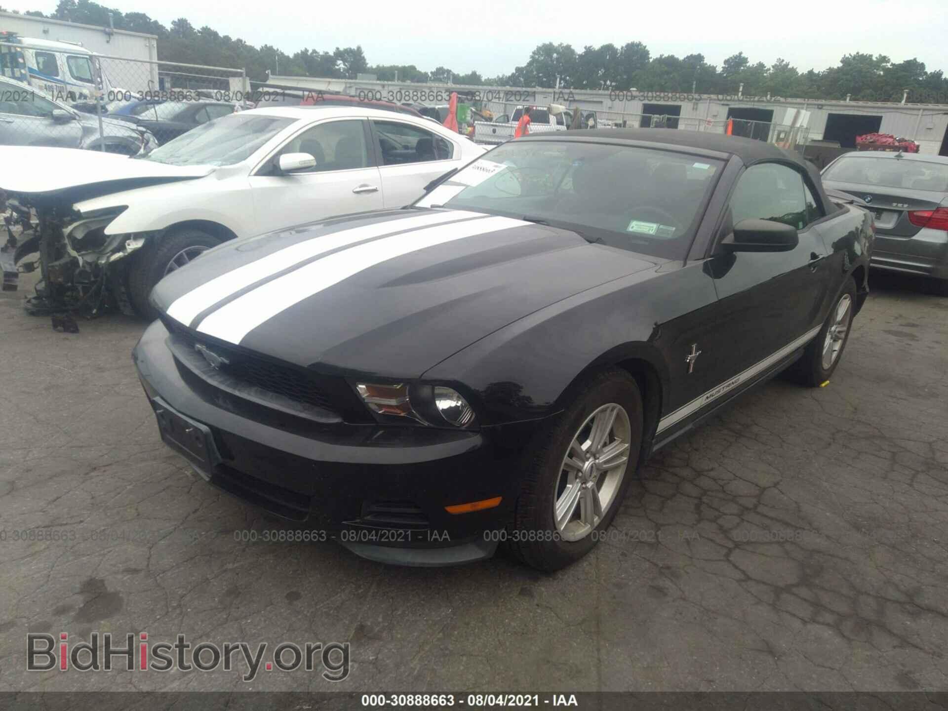 2011 FORD MUSTANG - VIN: 1ZVBP8EM3B5148869 - Фото 2