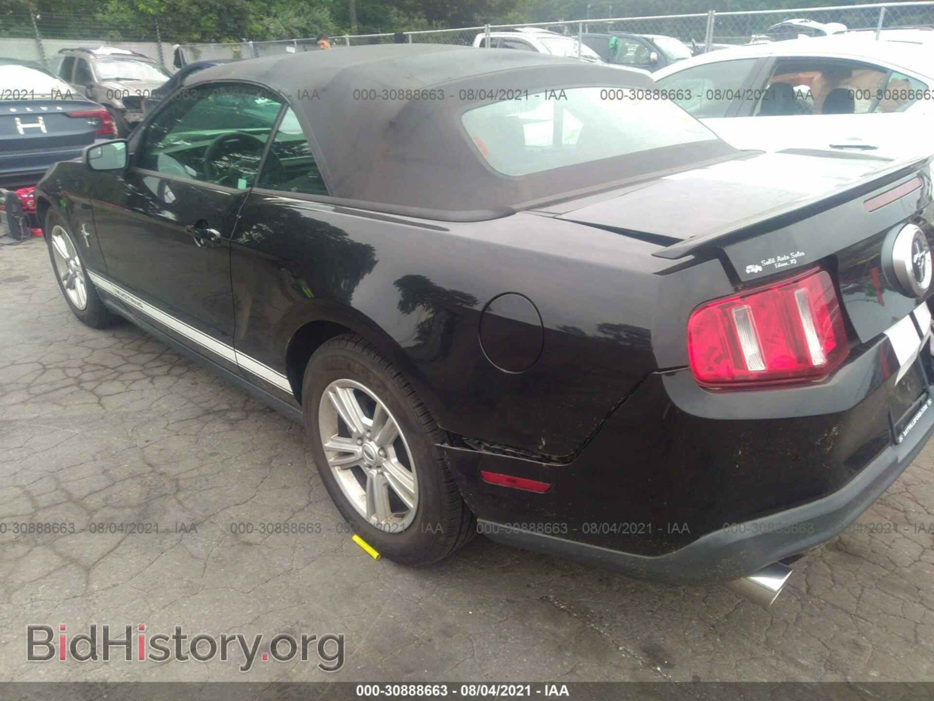 2011 FORD MUSTANG - VIN: 1ZVBP8EM3B5148869 - Фото 3