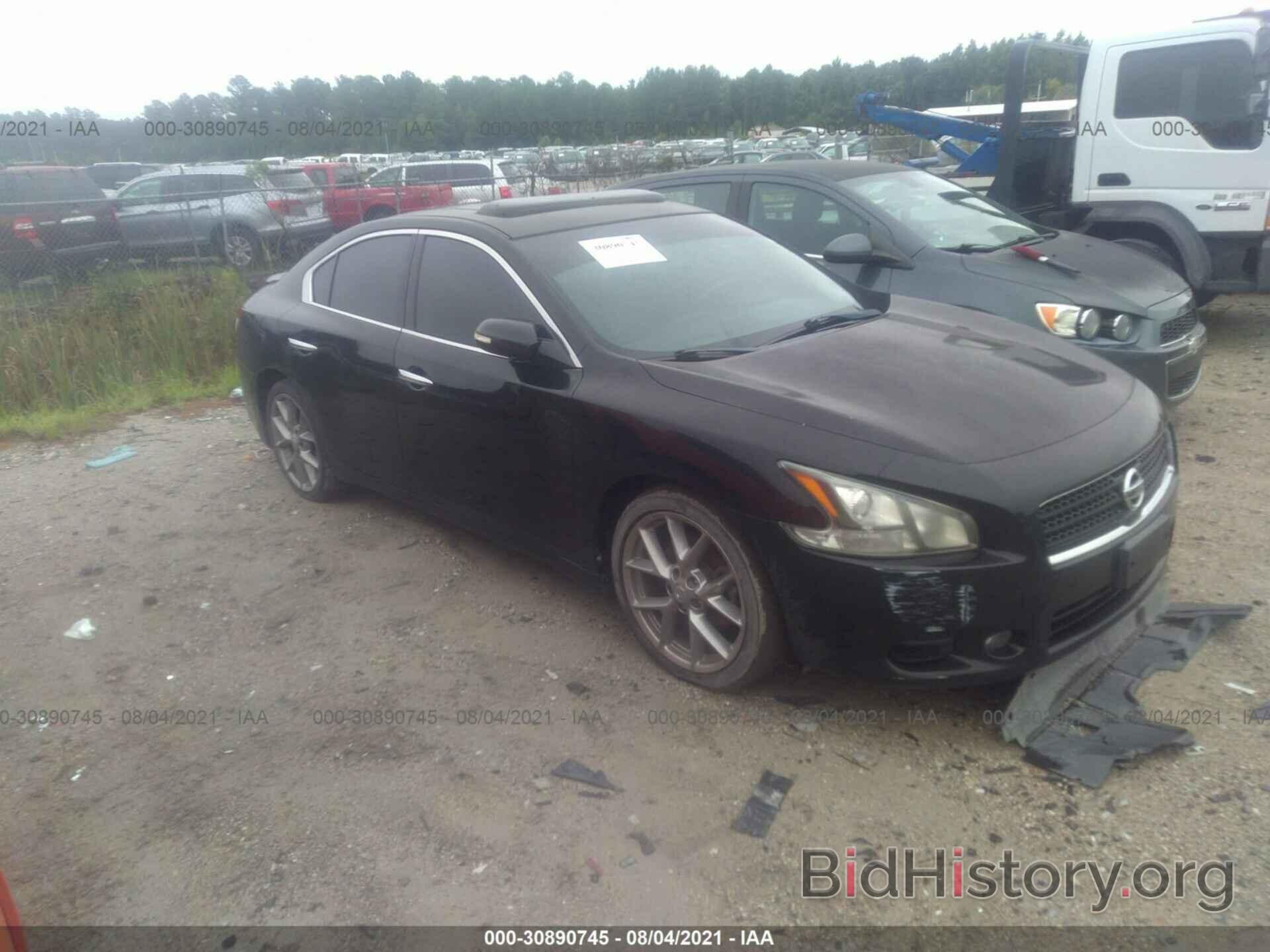 Photo 1N4AA5AP3BC861982 - NISSAN MAXIMA 2011