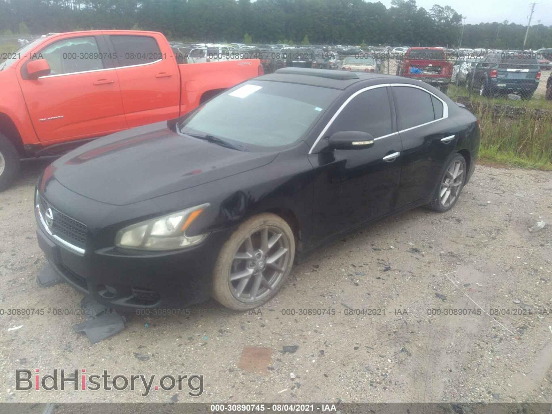 2011 NISSAN MAXIMA - VIN: 1N4AA5AP3BC861982 - Фото 2