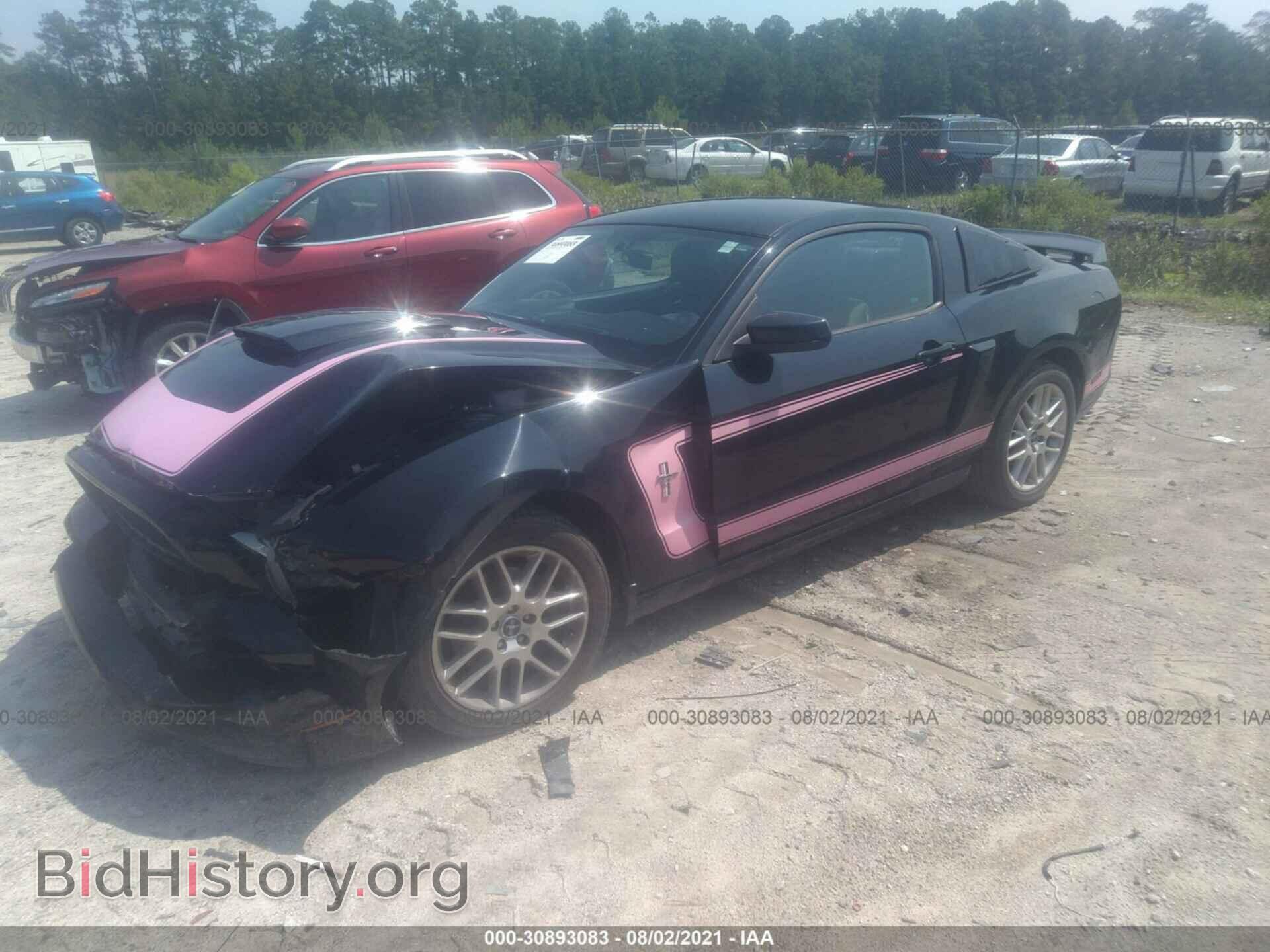 2013 FORD MUSTANG - VIN: 1ZVBP8AM5D5233169 - Фото 2
