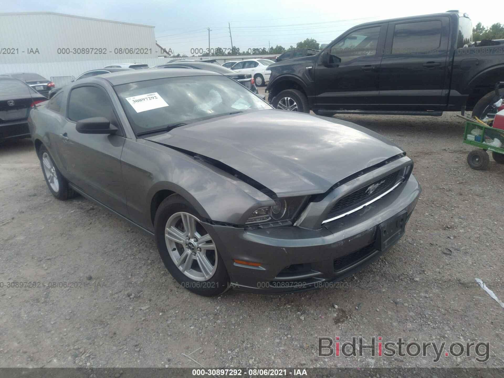 Photo 1ZVBP8AM4E5284096 - FORD MUSTANG 2014