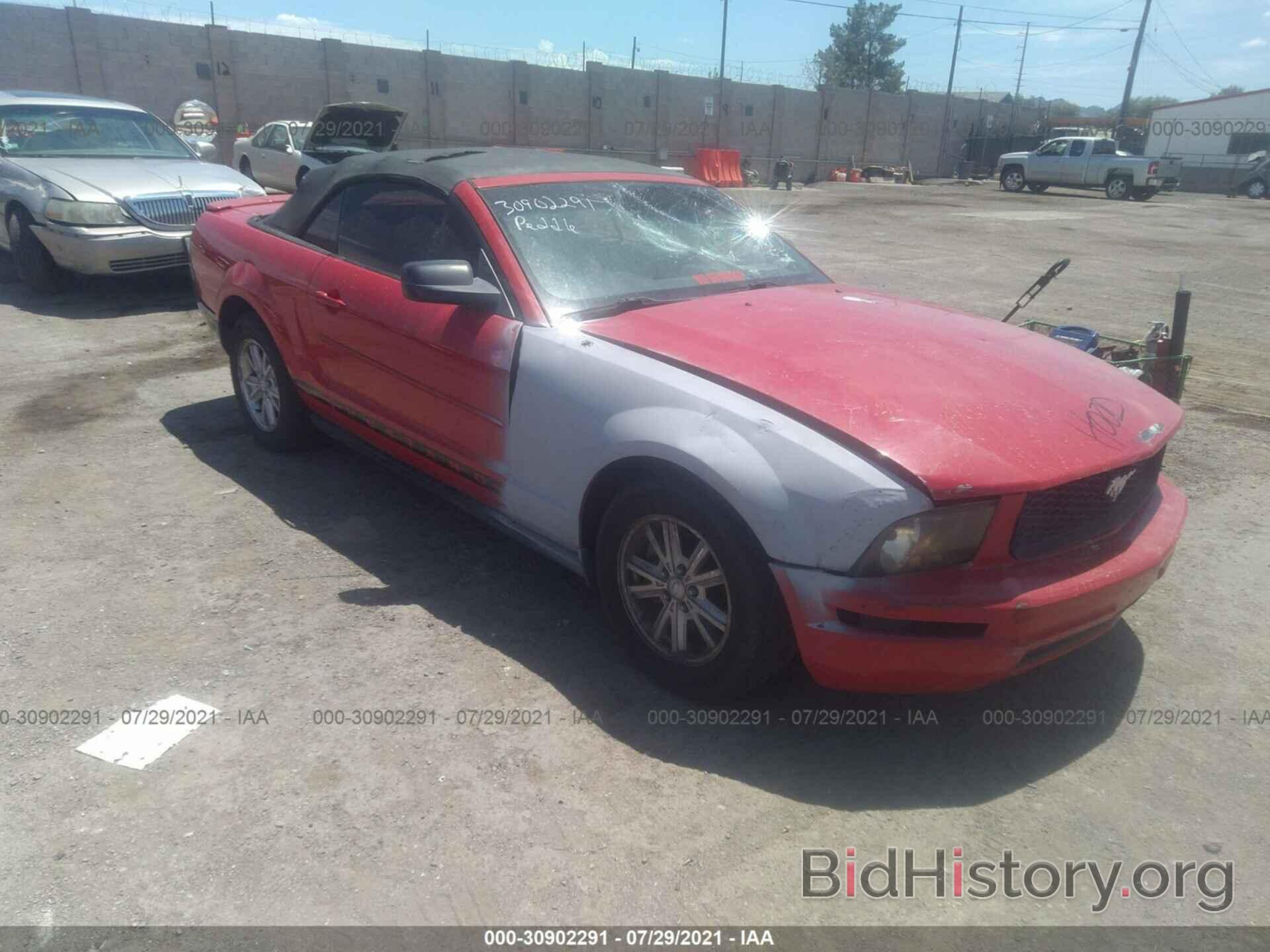 Photo 1ZVHT84N185178963 - FORD MUSTANG 2008