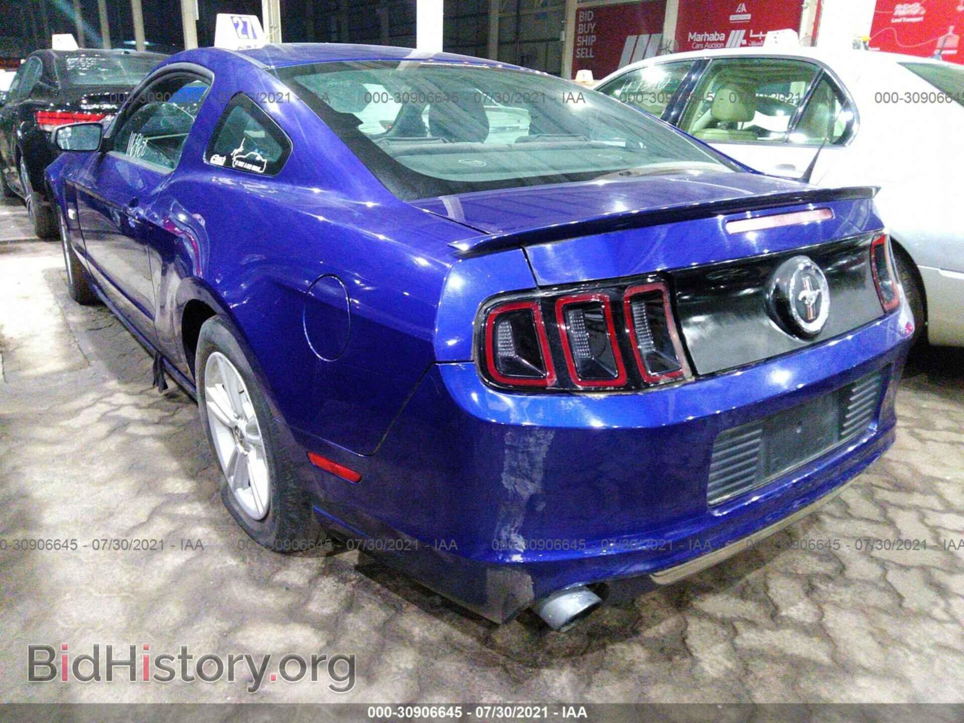 2013 FORD MUSTANG - VIN: 000BP8AM4D5250352 - Фото 3