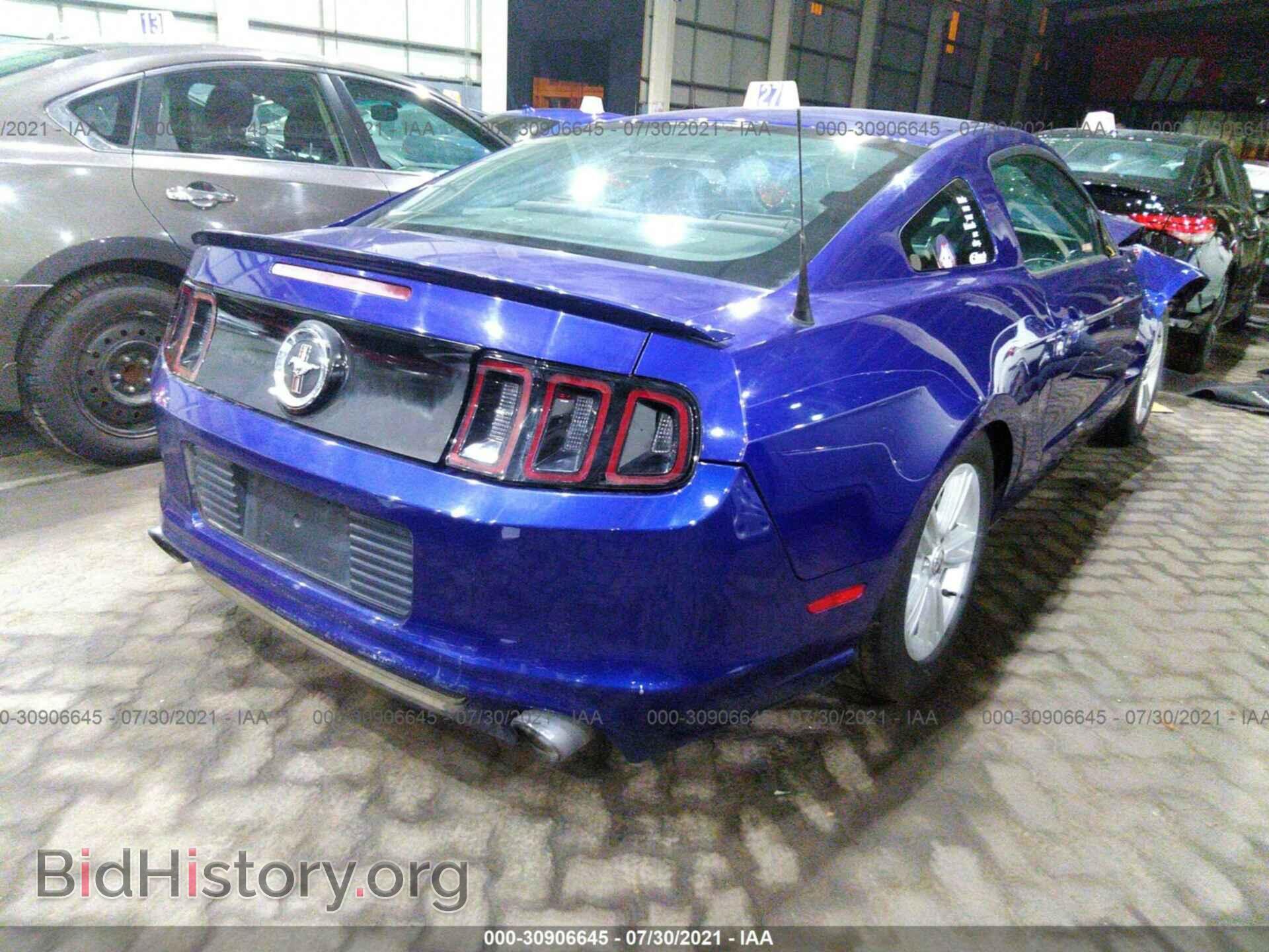 2013 FORD MUSTANG - VIN: 000BP8AM4D5250352 - Фото 4
