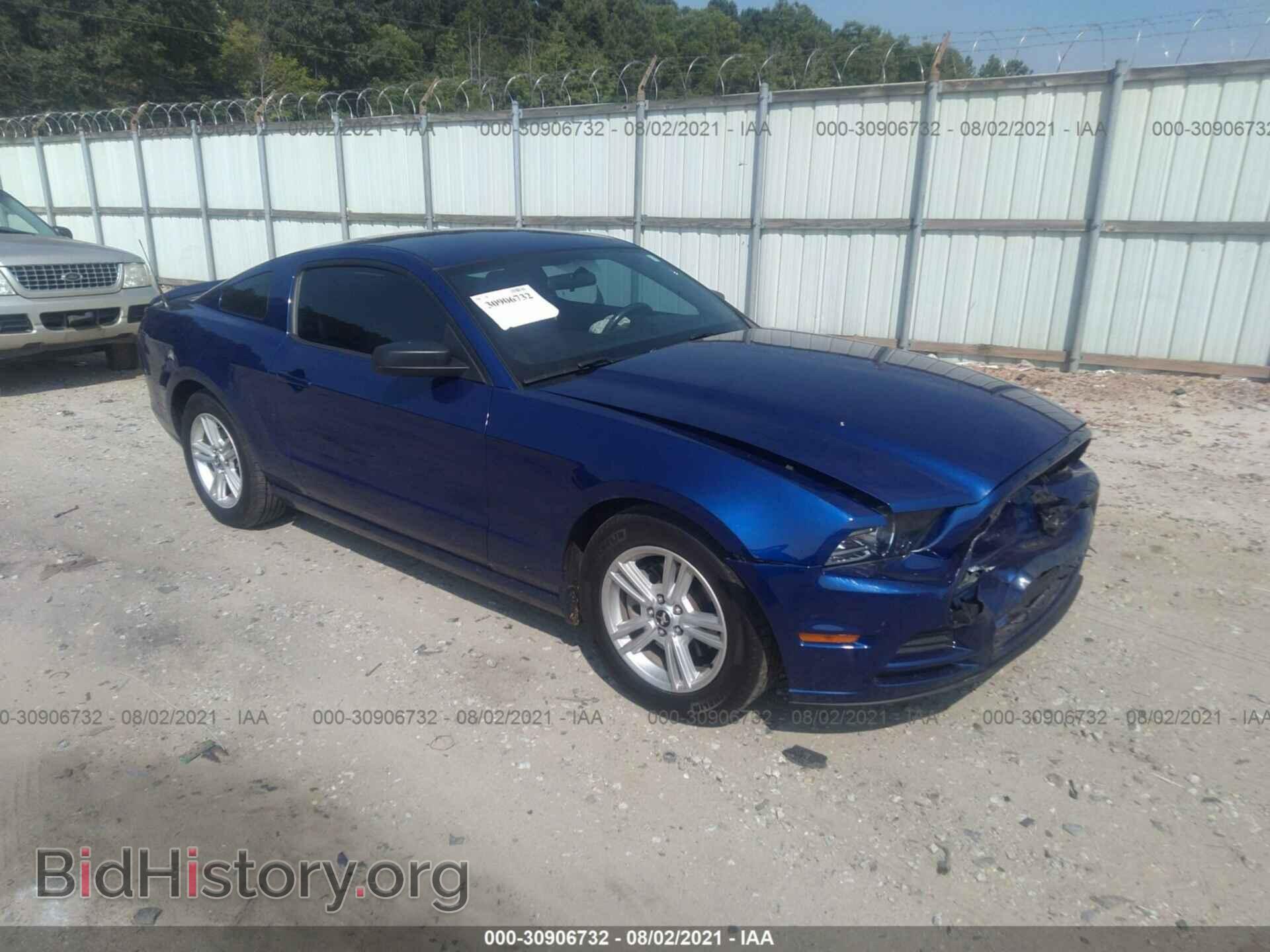 Фотография 1ZVBP8AM2D5273385 - FORD MUSTANG 2013