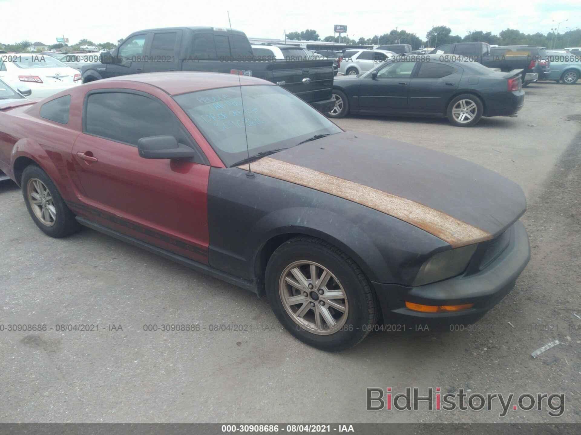 Photo 1ZVFT80N975356355 - FORD MUSTANG 2007