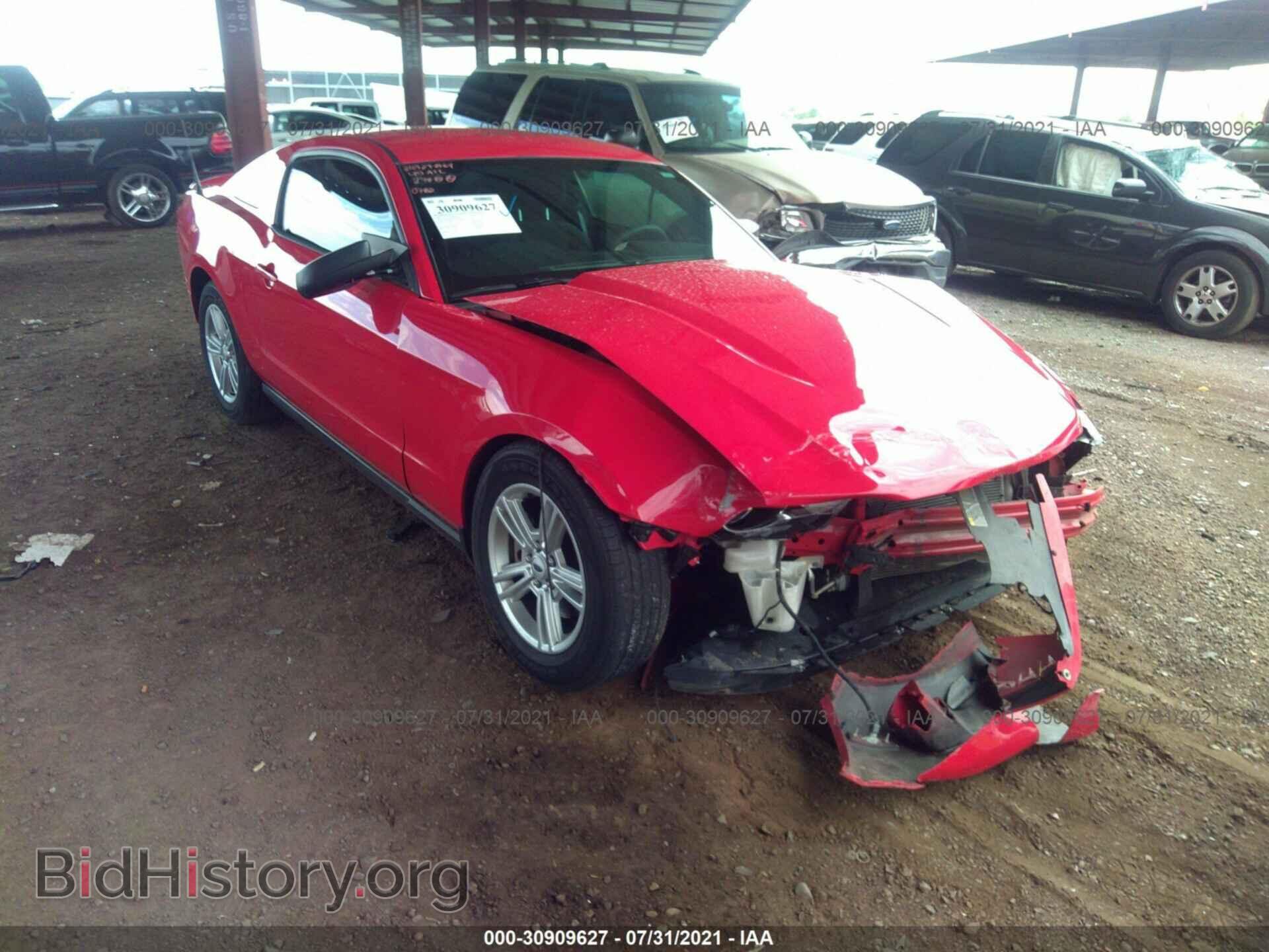 Photo 1ZVBP8AM4C5260782 - FORD MUSTANG 2012
