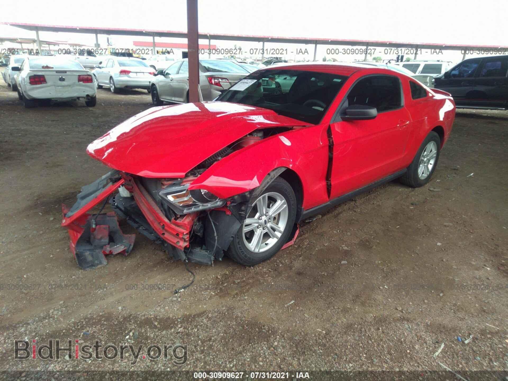 2012 FORD MUSTANG - VIN: 1ZVBP8AM4C5260782 - Фото 2
