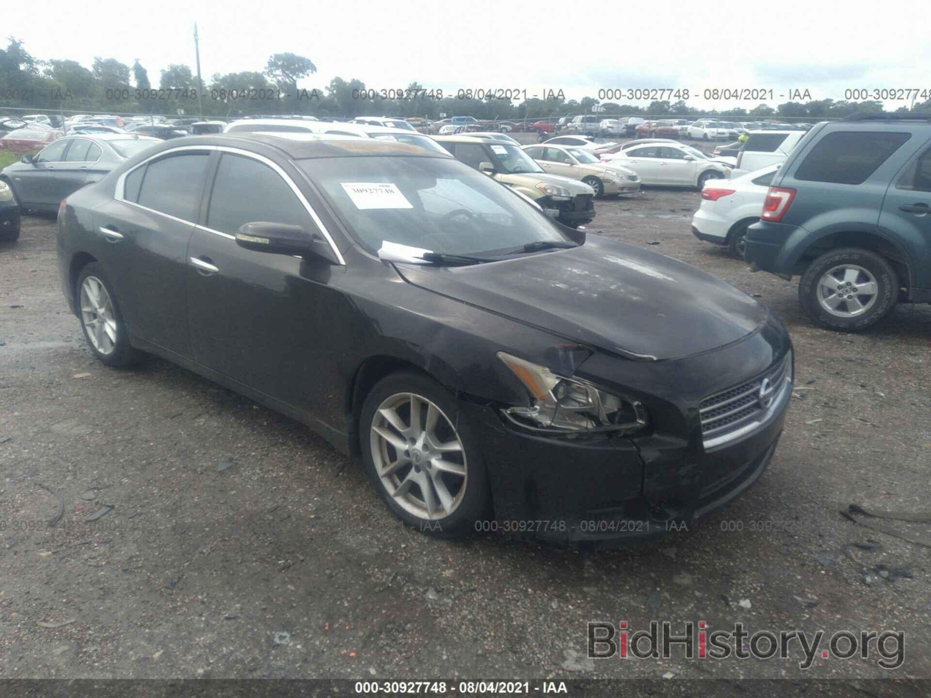 Photo 1N4AA5AP5BC834749 - NISSAN MAXIMA 2011