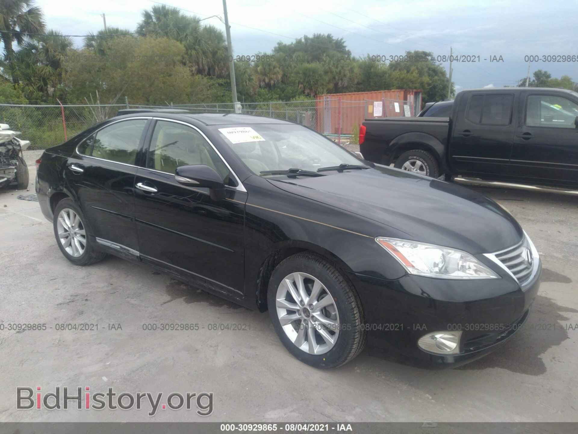 Фотография JTHBK1EG6C2509497 - LEXUS ES 350 2012