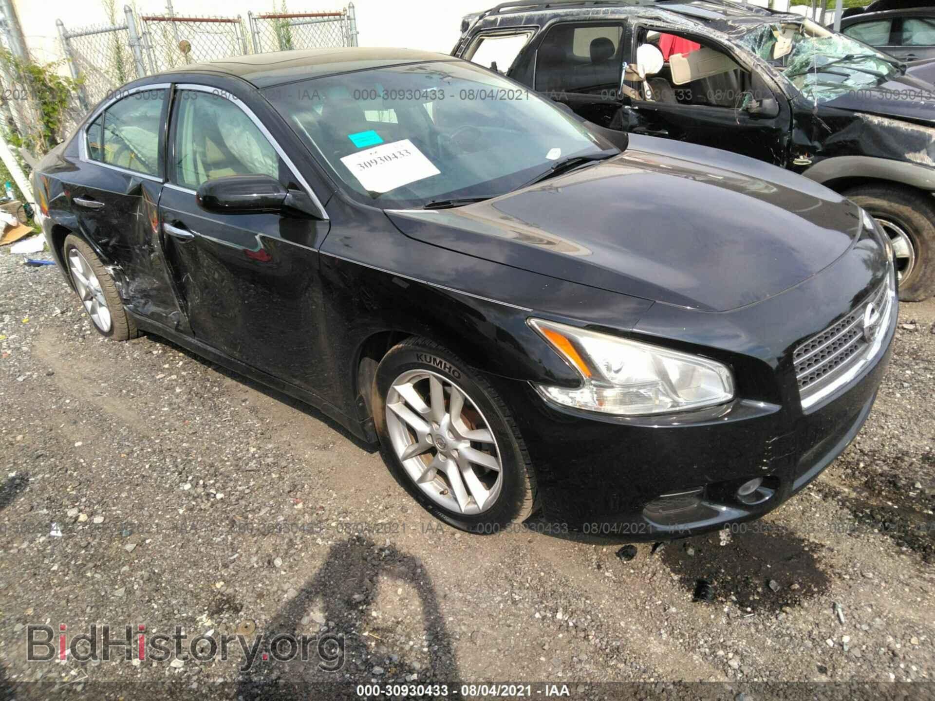Фотография 1N4AA5AP0BC852575 - NISSAN MAXIMA 2011