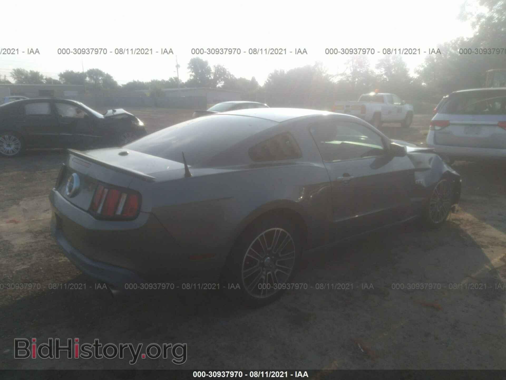 2010 FORD MUSTANG - VIN: 1ZVBP8CH2A5160645 - Фото 4