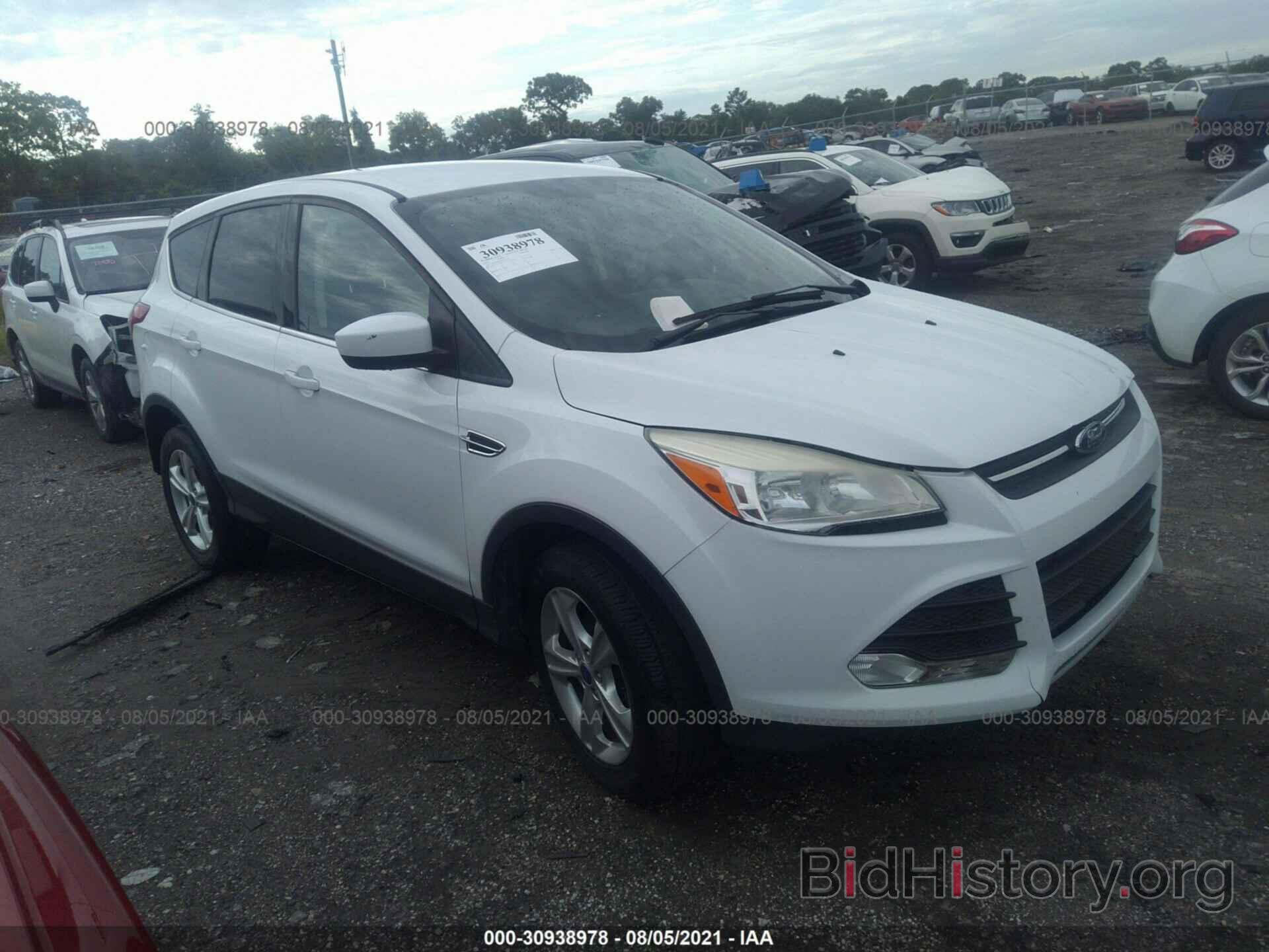 Photo 1FMCU0GX7DUC31797 - FORD ESCAPE 2013