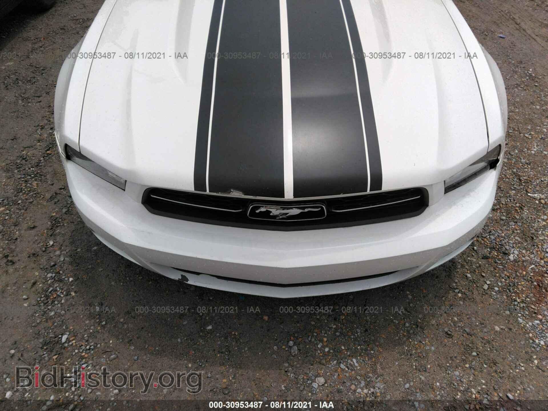 2011 FORD MUSTANG - VIN: 1ZVBP8AM0B5118928 - Фото 6
