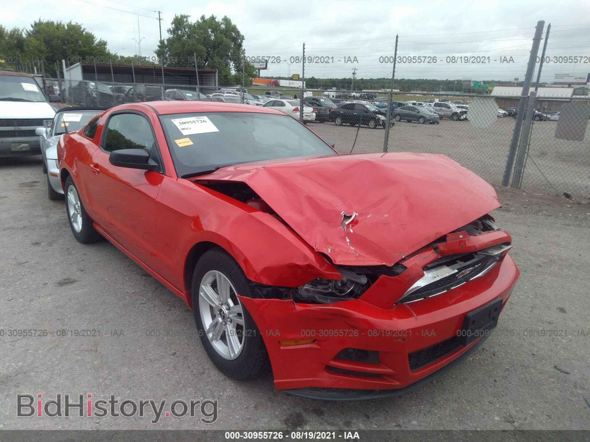 Фотография 1ZVBP8AM8D5259698 - FORD MUSTANG 2013