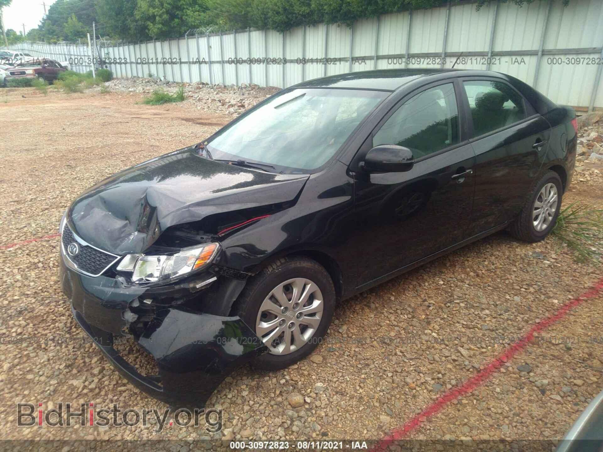 2013 KIA FORTE - VIN: KNAFU4A29D5735765 - Фото 2