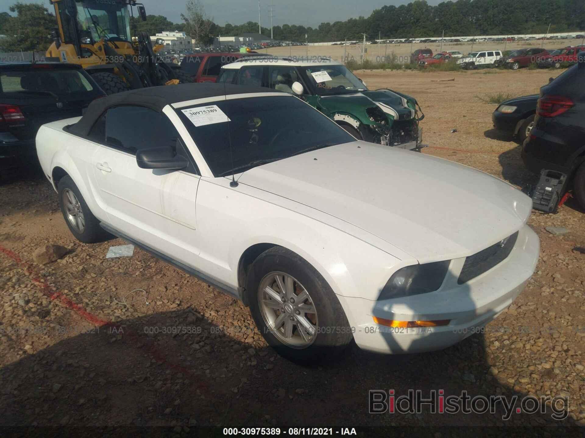 Photo 1ZVFT84N375327847 - FORD MUSTANG 2007