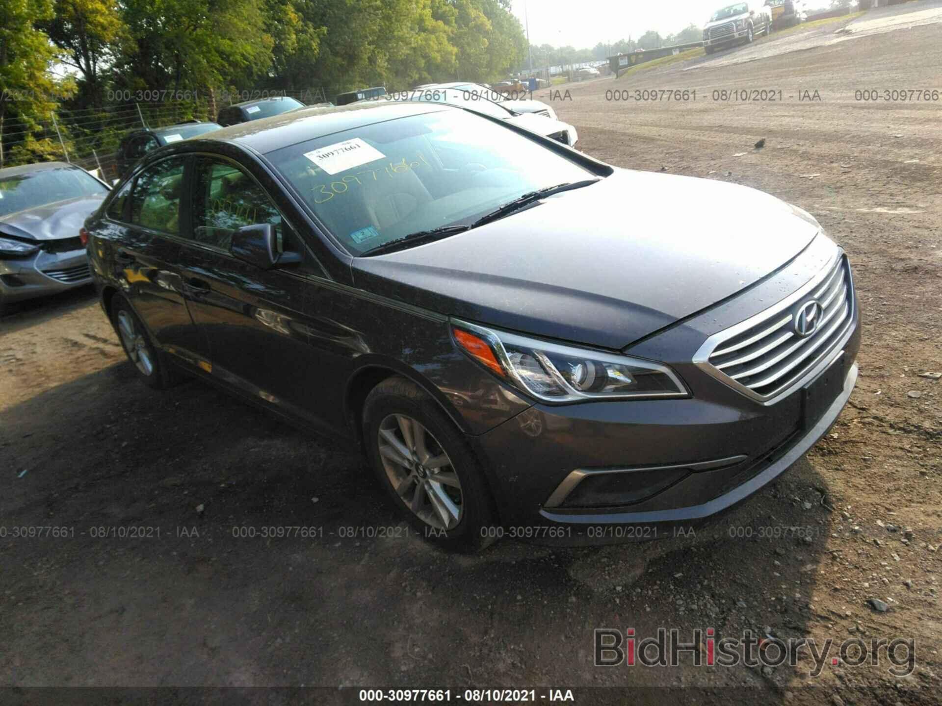 Фотография 5NPE24AF8GH305558 - HYUNDAI SONATA 2016