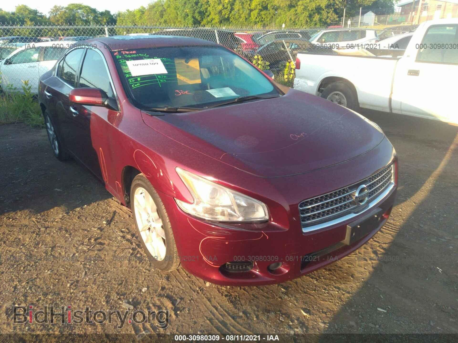 Фотография 1N4AA5AP8BC818755 - NISSAN MAXIMA 2011