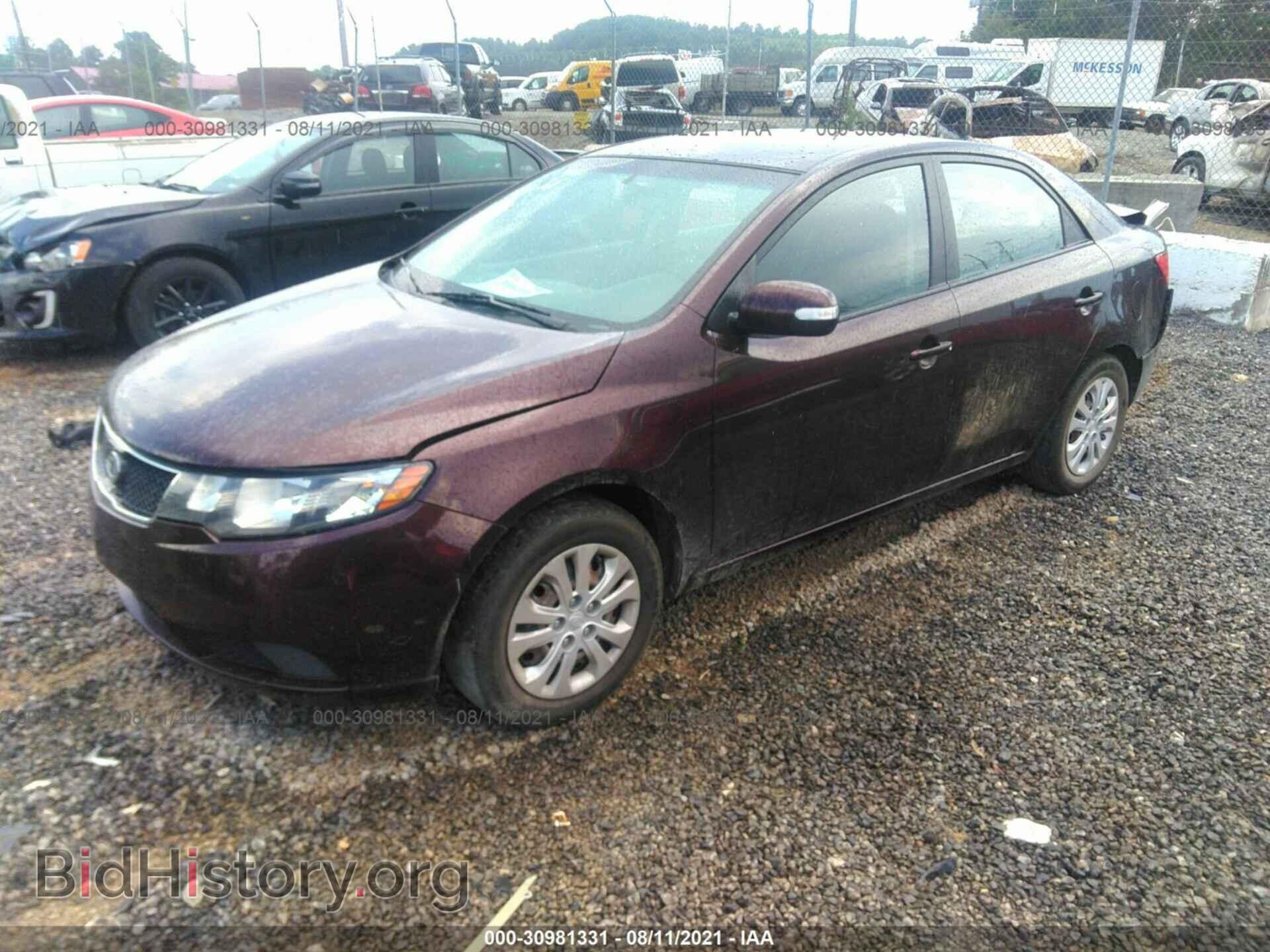 2010 KIA FORTE - VIN: KNAFU4A2XA5058320 - Фото 2