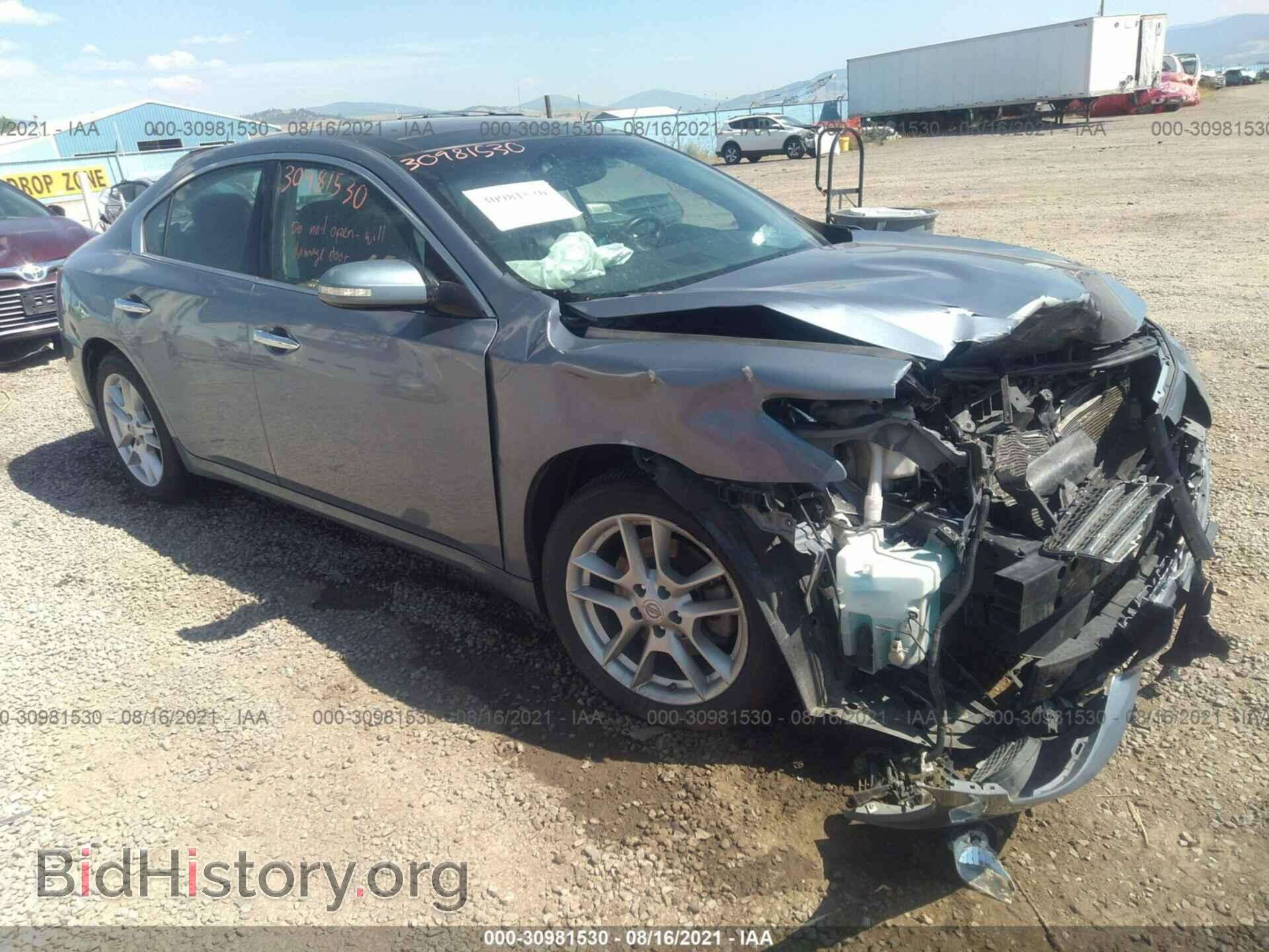 Фотография 1N4AA5AP2BC835339 - NISSAN MAXIMA 2011
