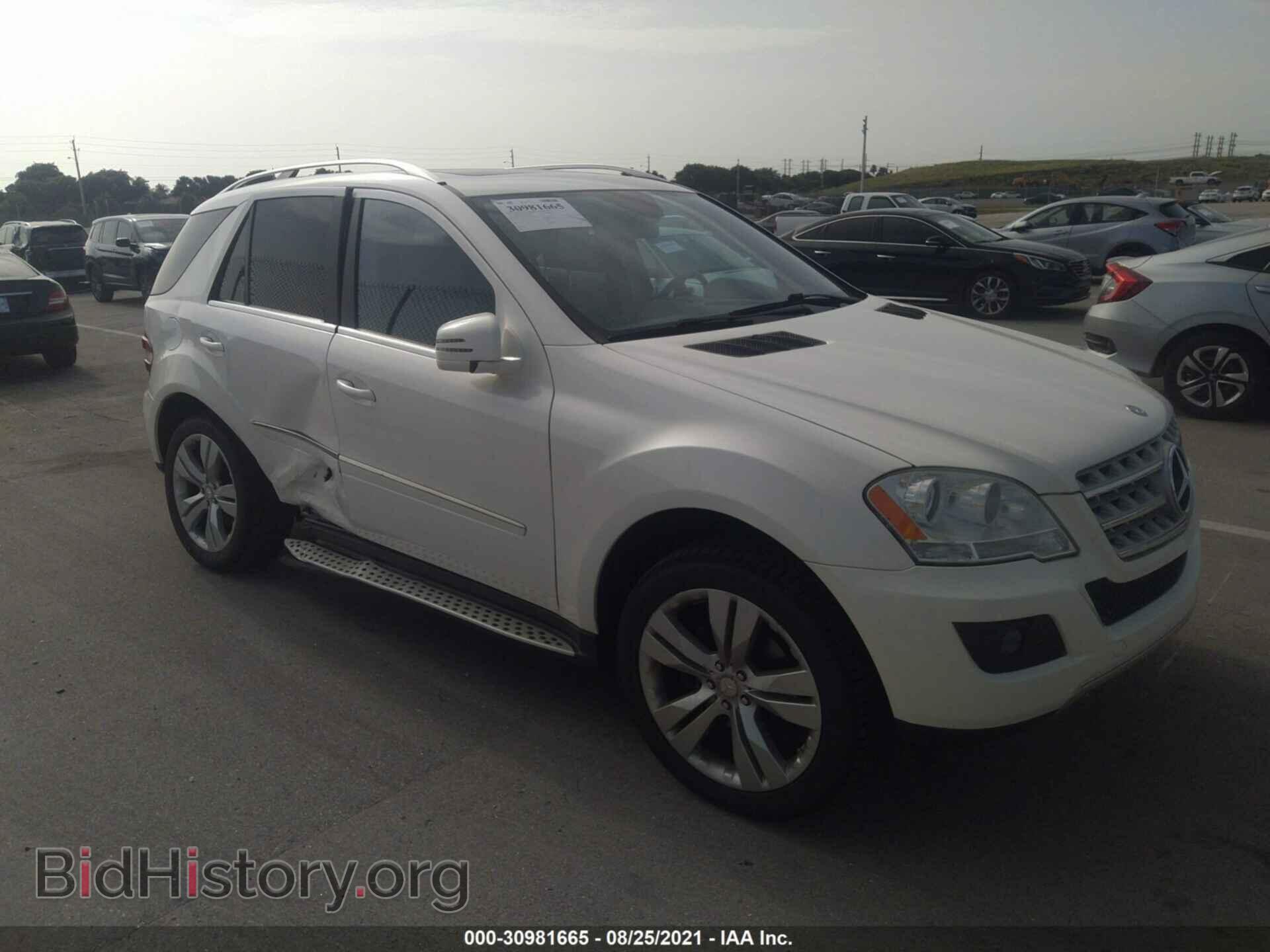 Photo 4JGBB5GB3BA709618 - MERCEDES-BENZ M-CLASS 2011