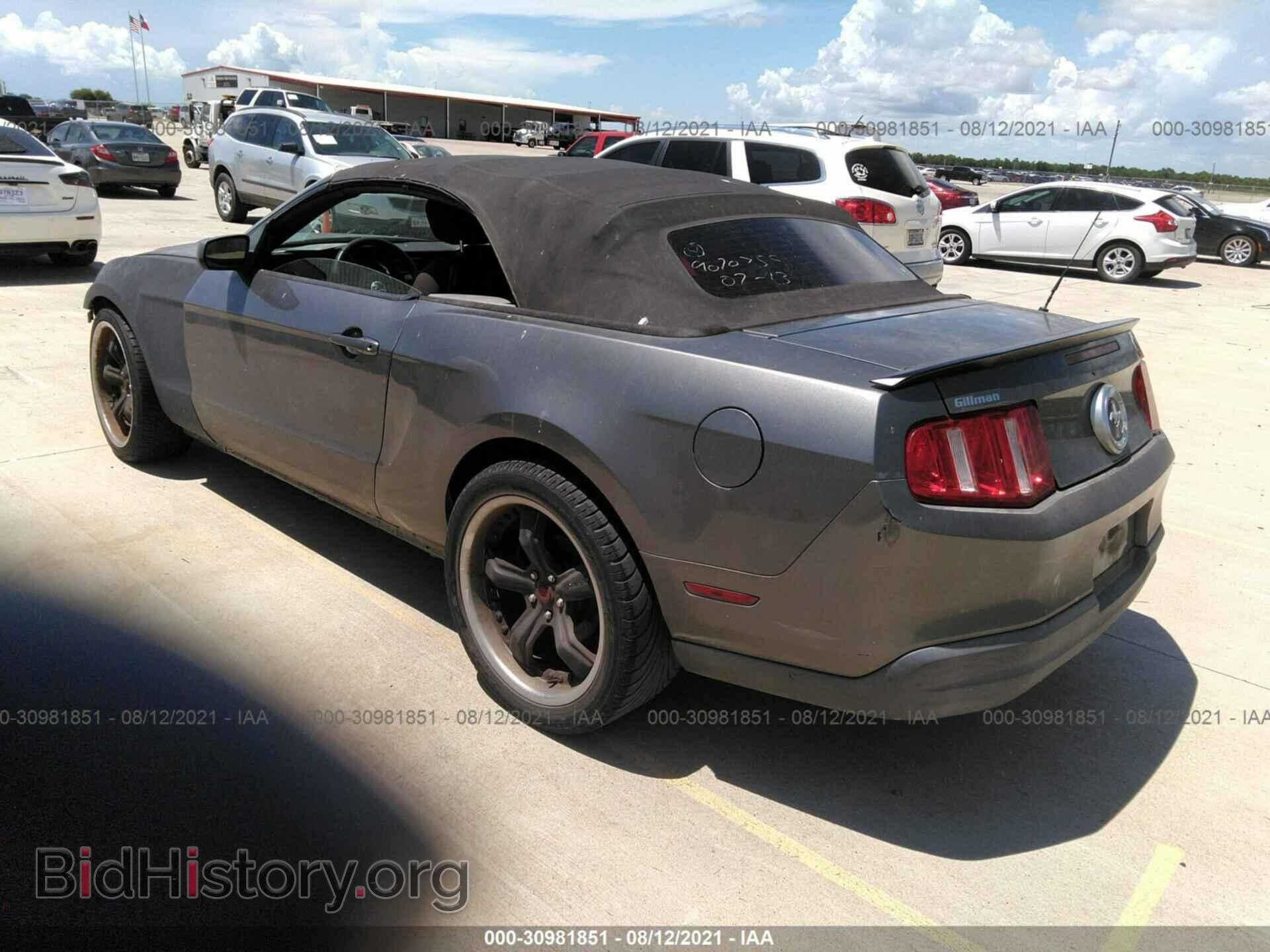 2010 FORD MUSTANG - VIN: 1ZVBP8EN6A5162059 - Фото 3