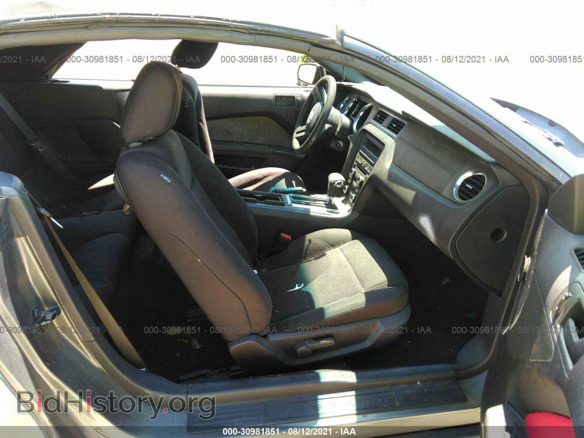 2010 FORD MUSTANG - VIN: 1ZVBP8EN6A5162059 - Фото 5